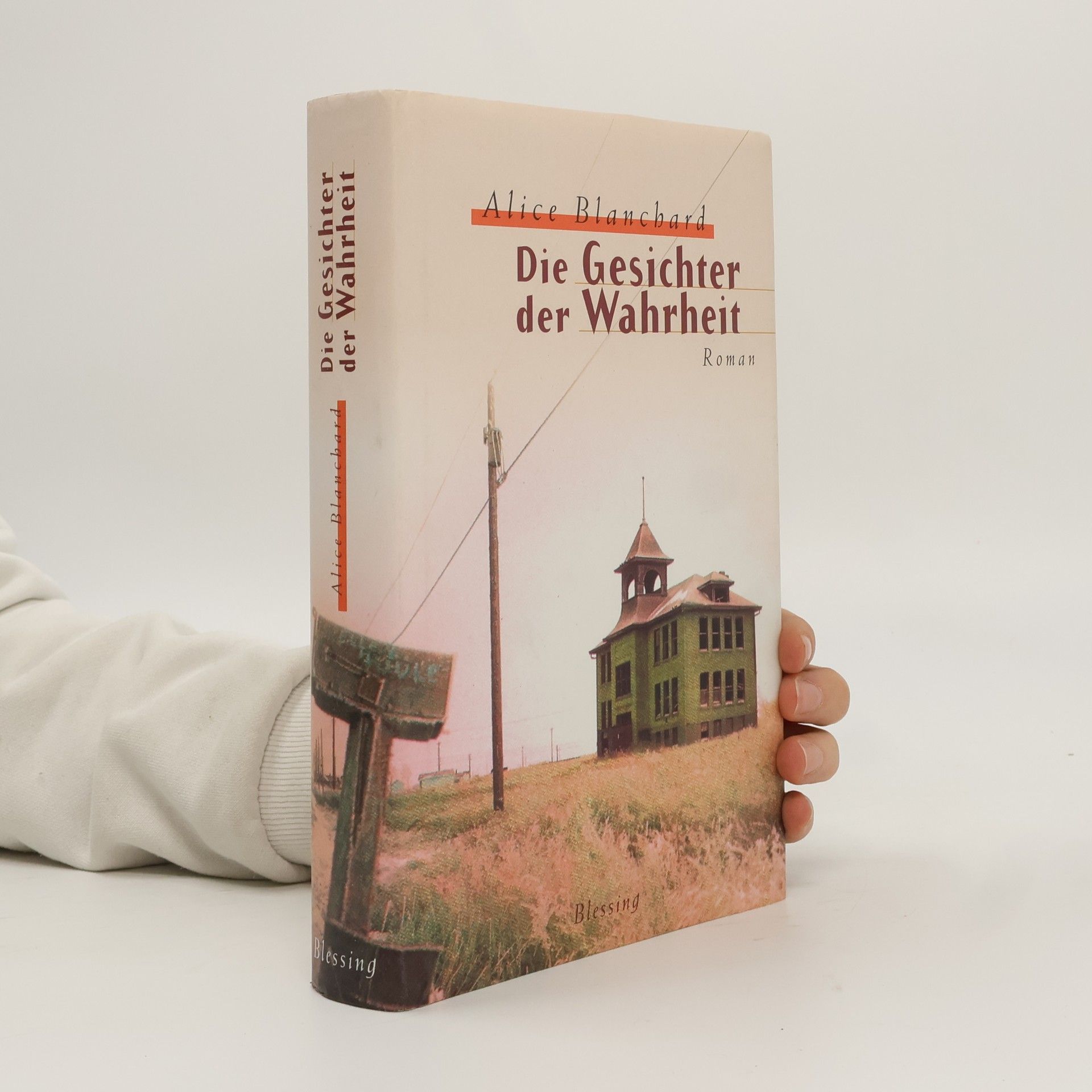 Alice Blanchard Die Gesichter der Wahrheit