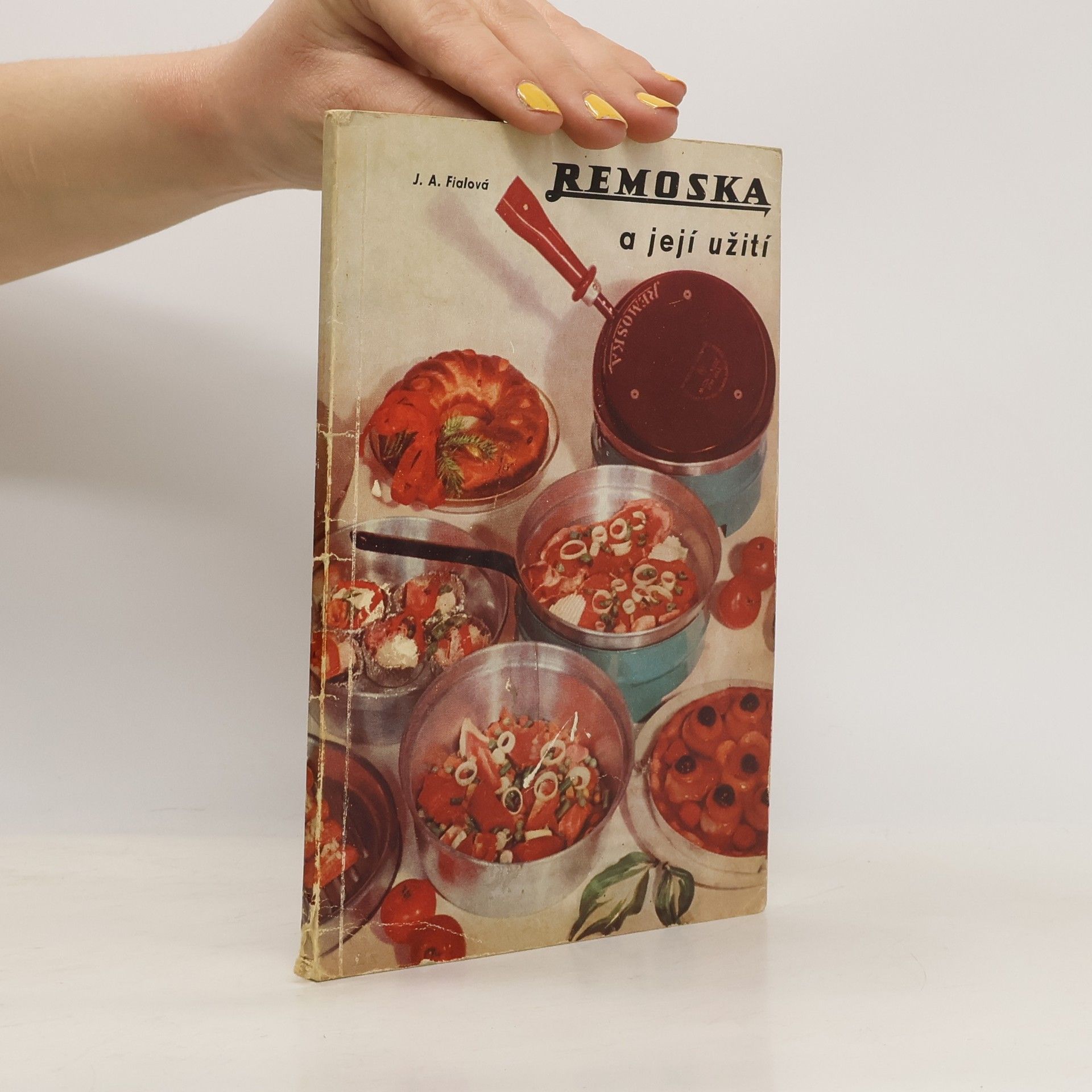 Juliana Anna Fialová Remoska a její užití