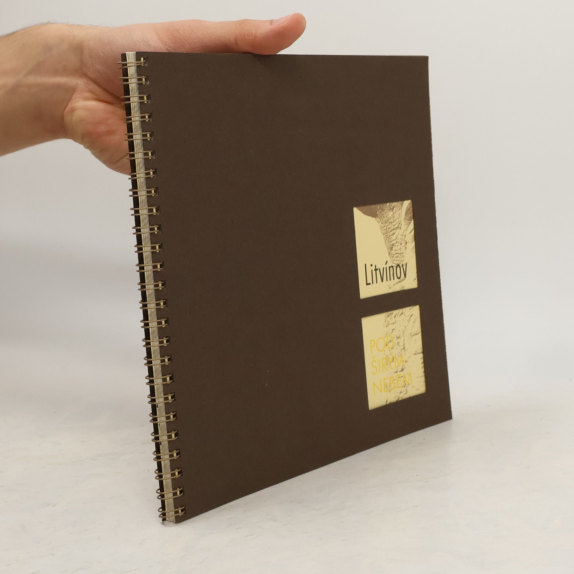 Kolektív autorov Litvínov