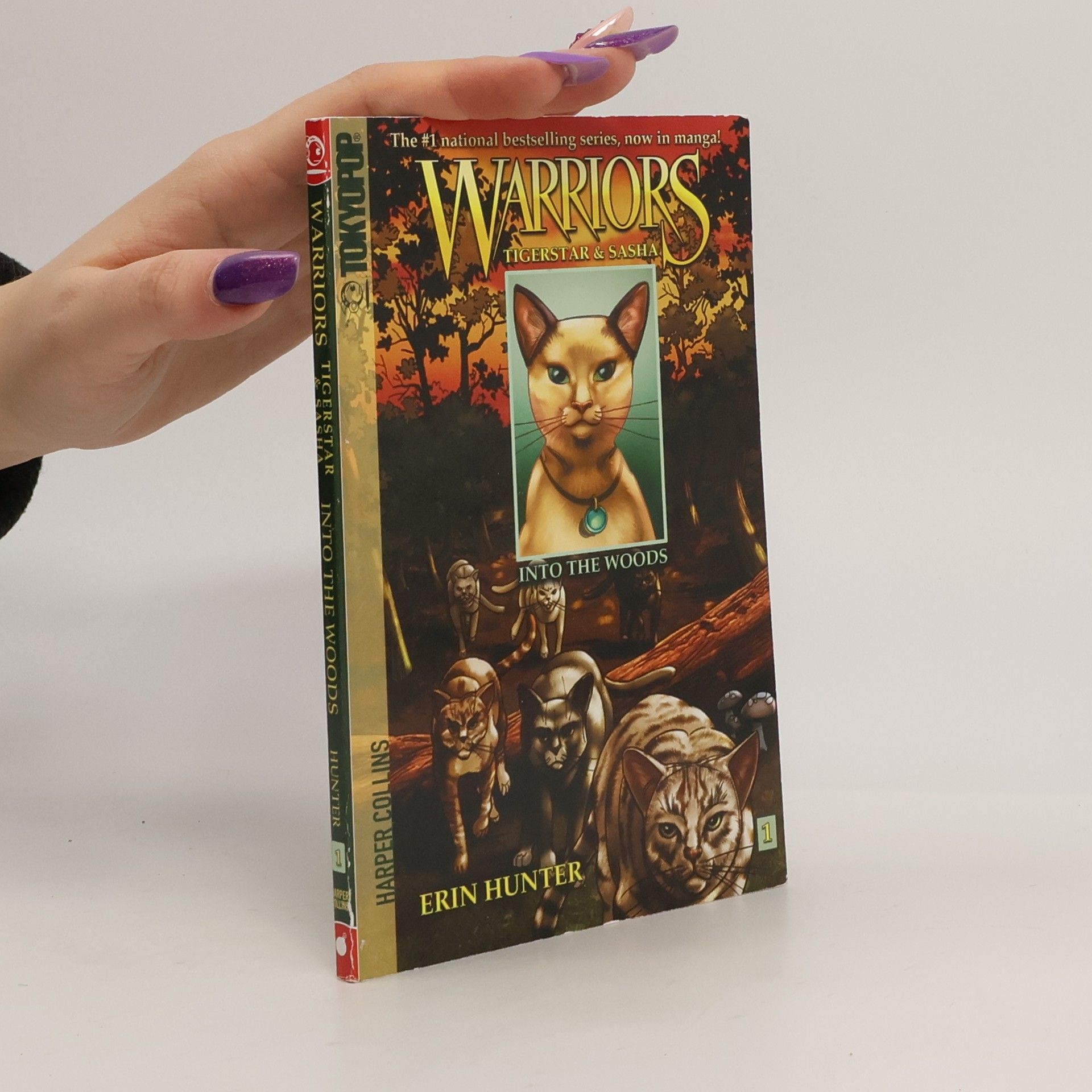 Erin Hunter Warriors Tigerstar & Sasha, Into the Woods