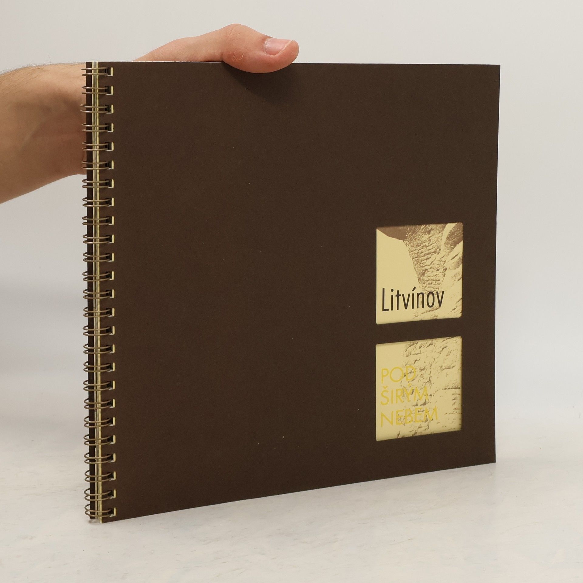 Ibra Ibrahimovič Litvínov