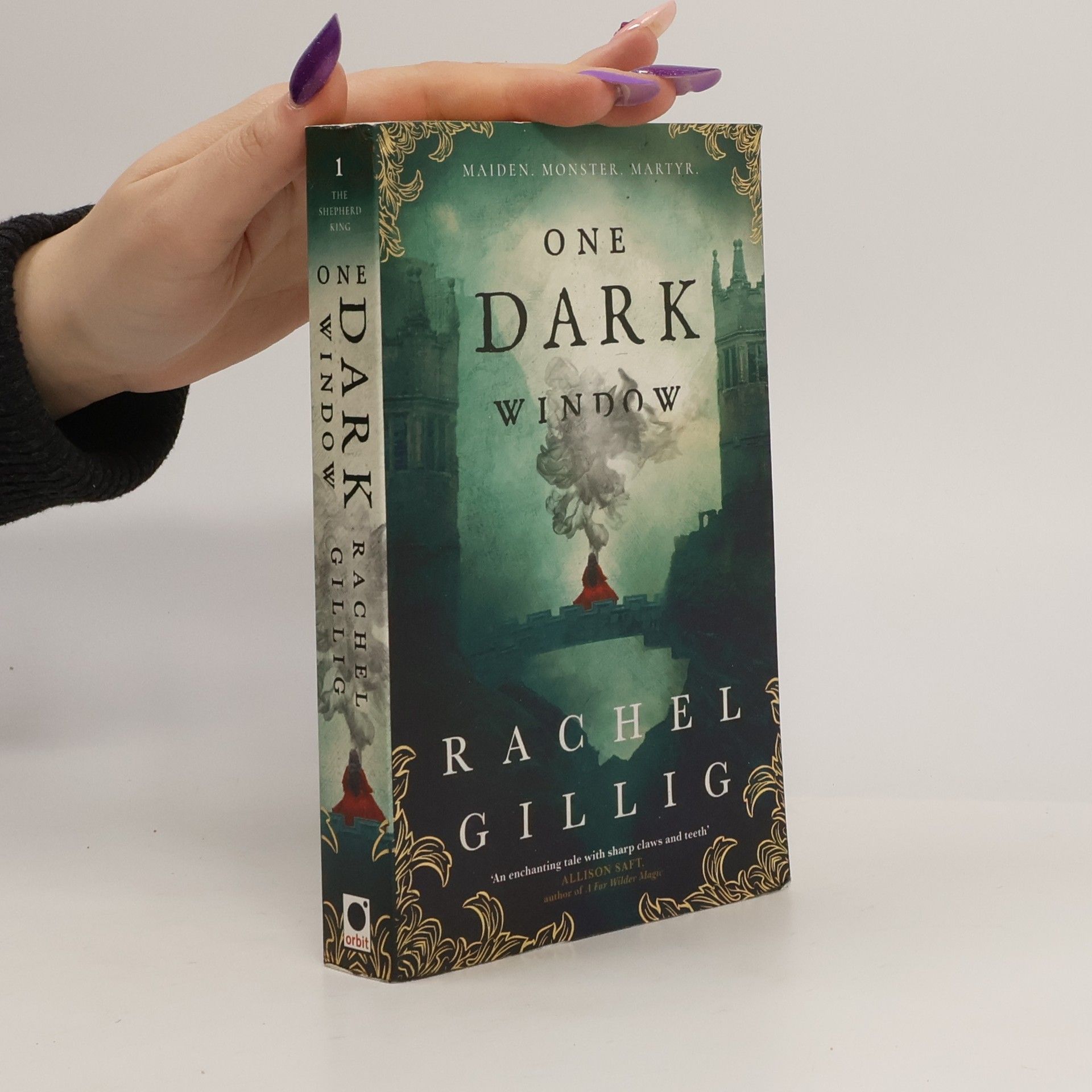 Rachel Gillig One Dark Window