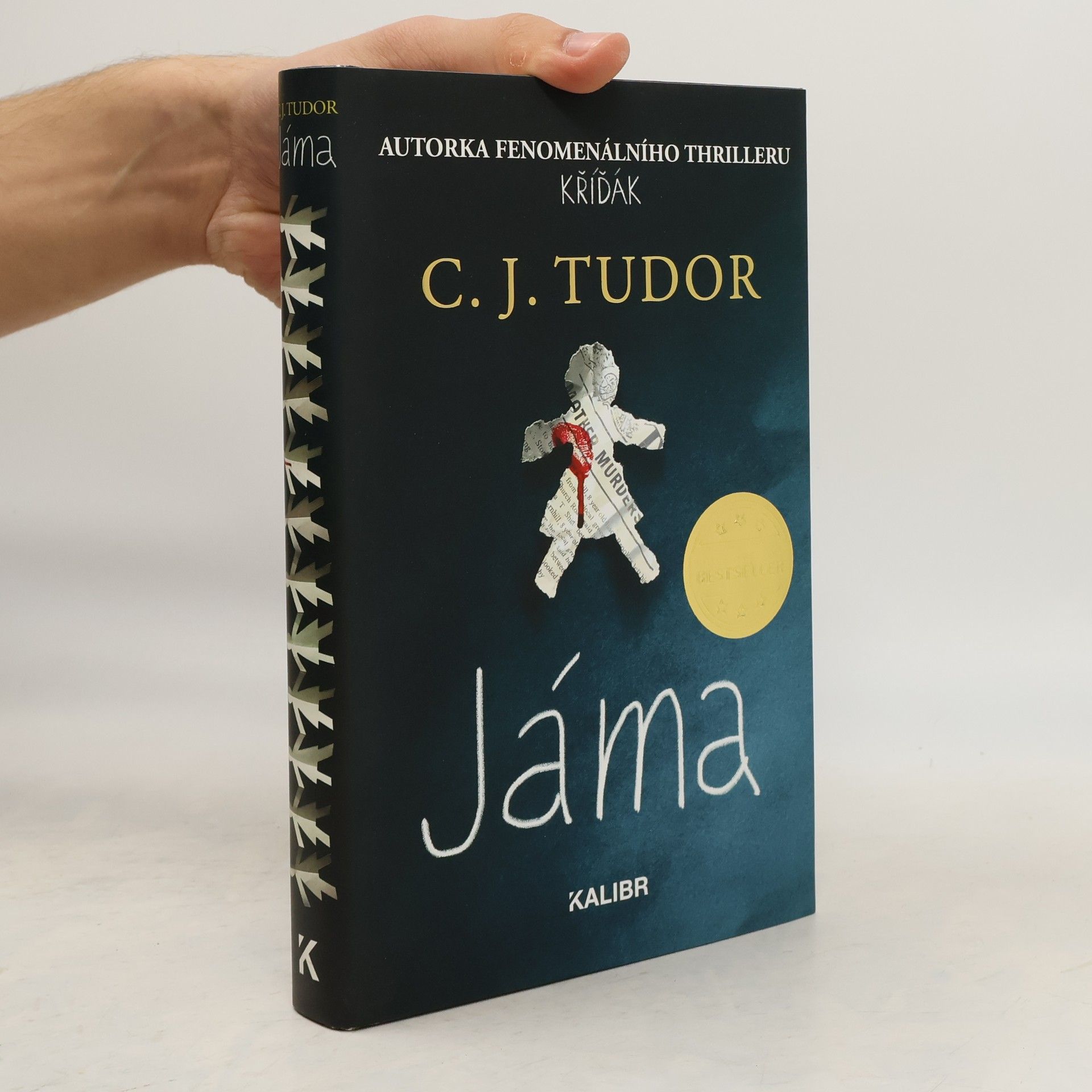 C.J. Tudor Jáma