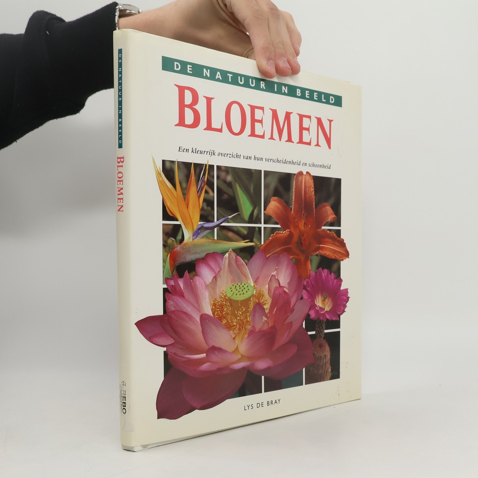 De Natuur in Beeld: Bloemen