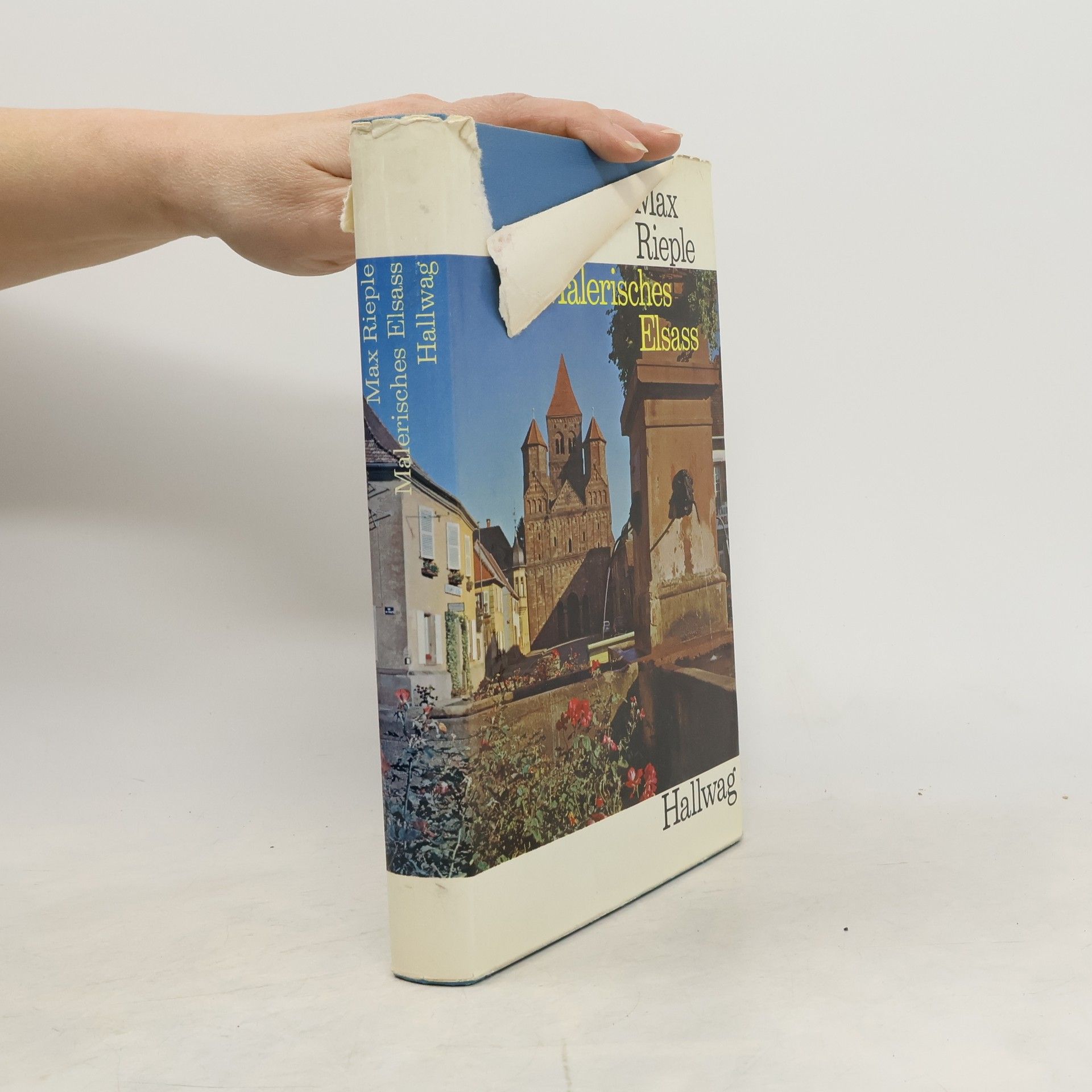 Max Rieple Malerisches Elsass