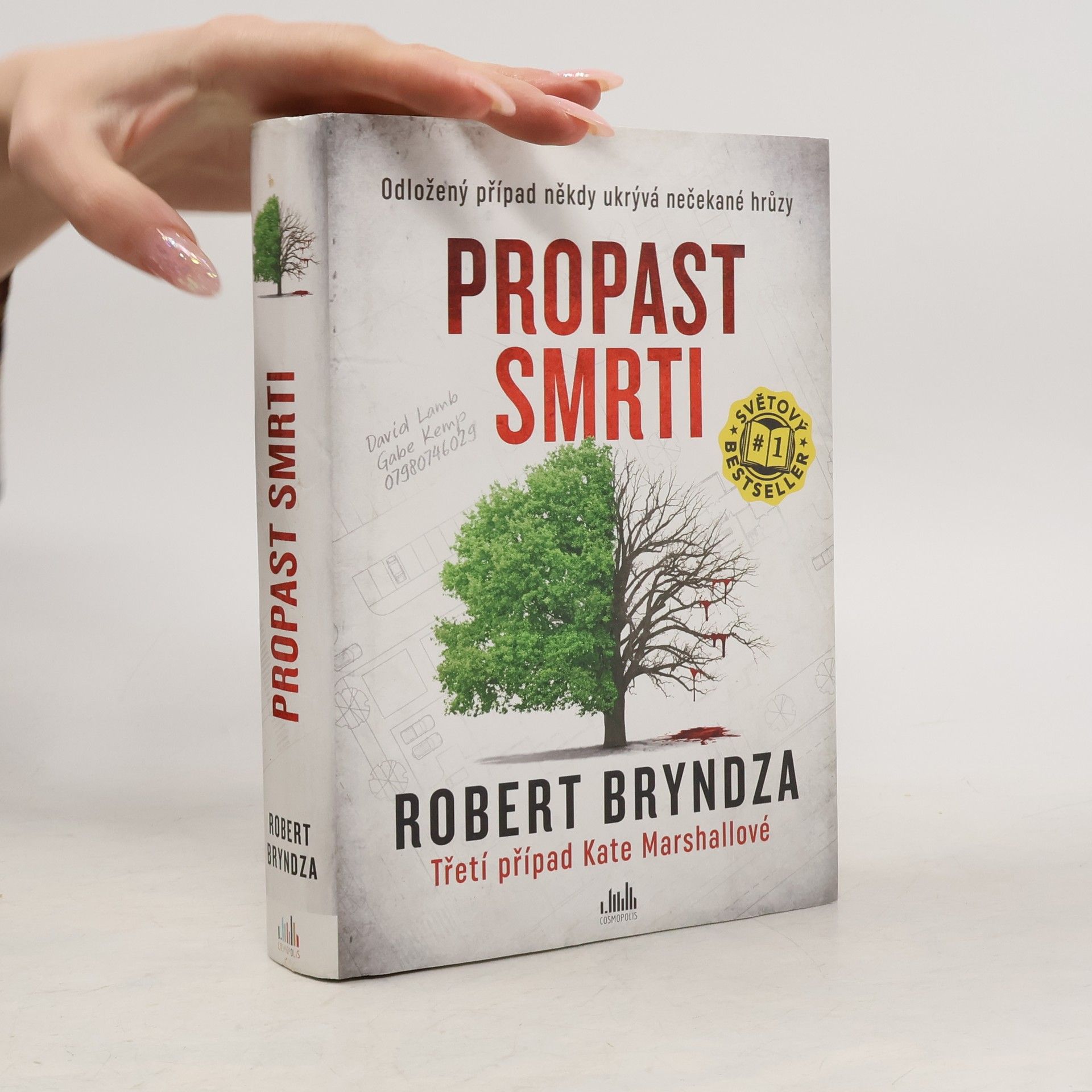 Robert Bryndza Propast smrti