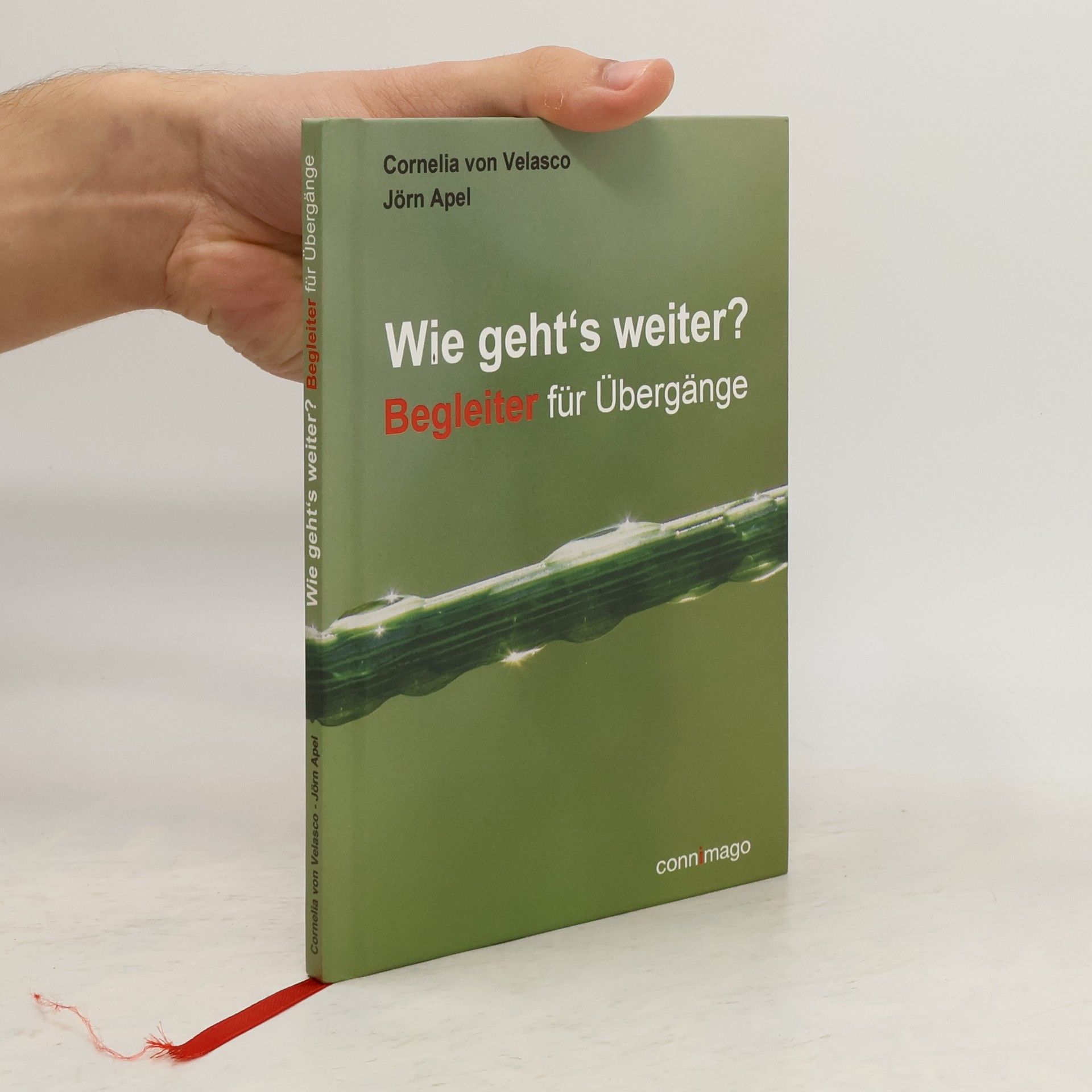 Cornelia von Velasco Wie geht's weiter?