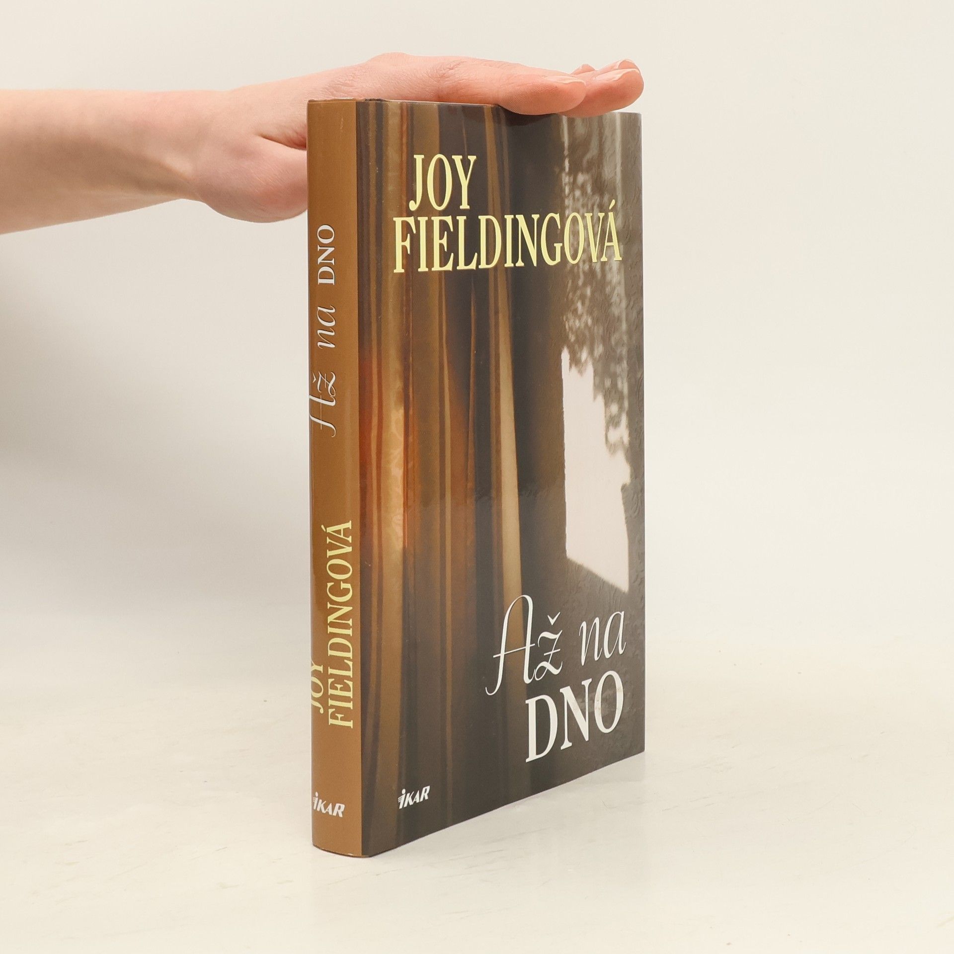 Joy Fielding Až na dno