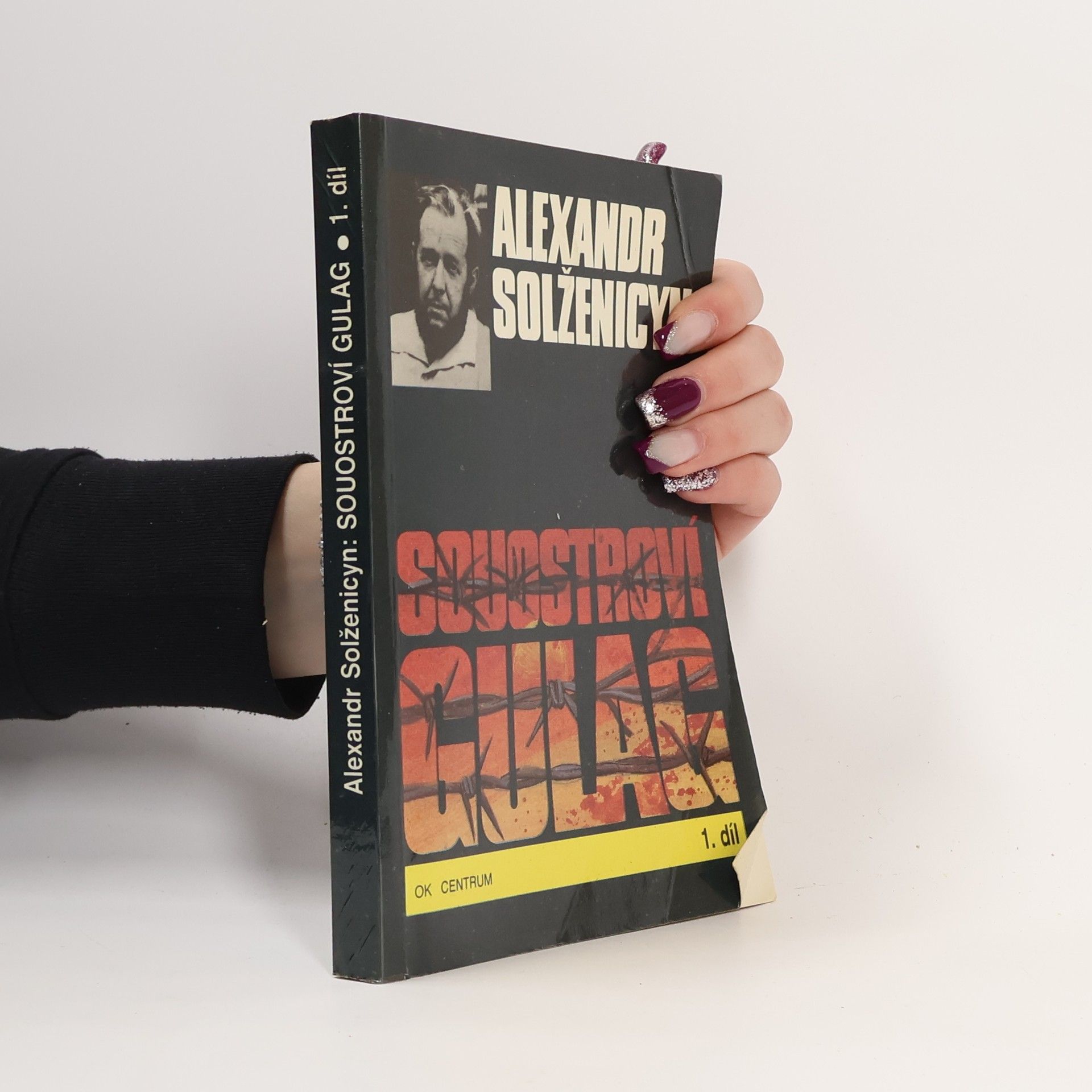 Alexander Issajewitsch Solschenizyn Souostroví Gulag 1