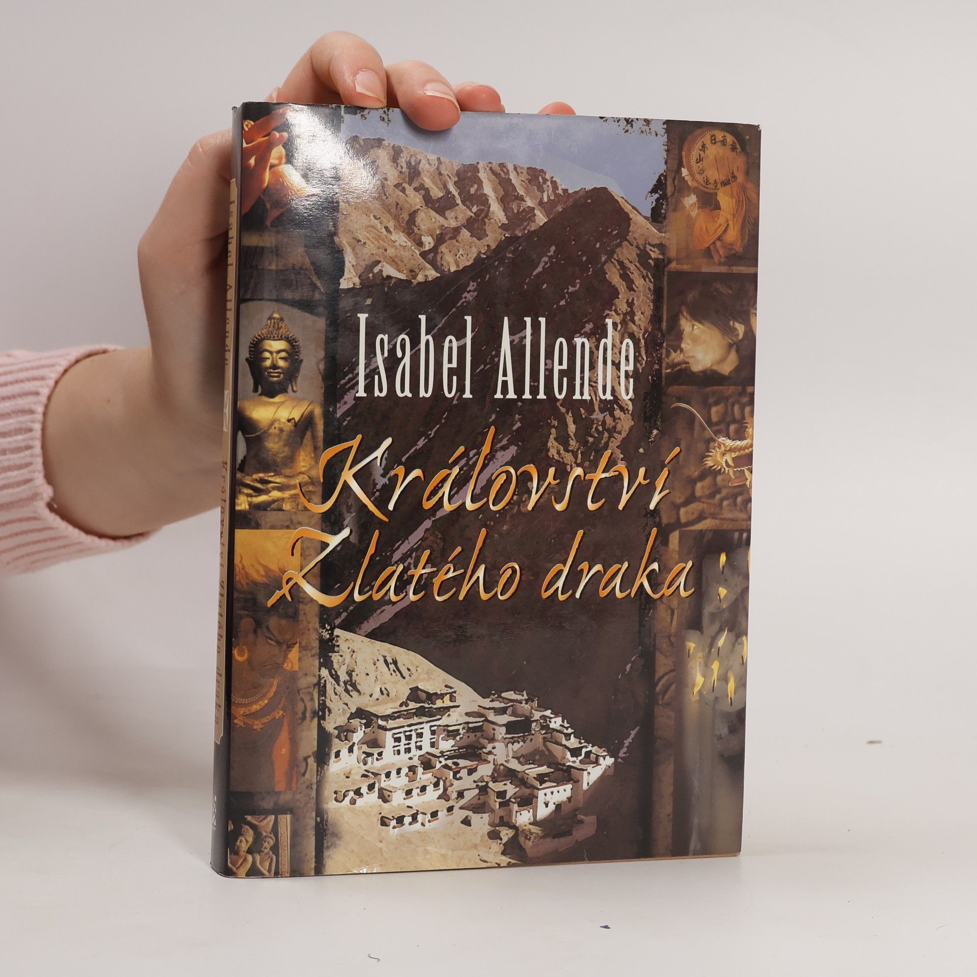 Isabel Allende Llona Království Zlatého draka