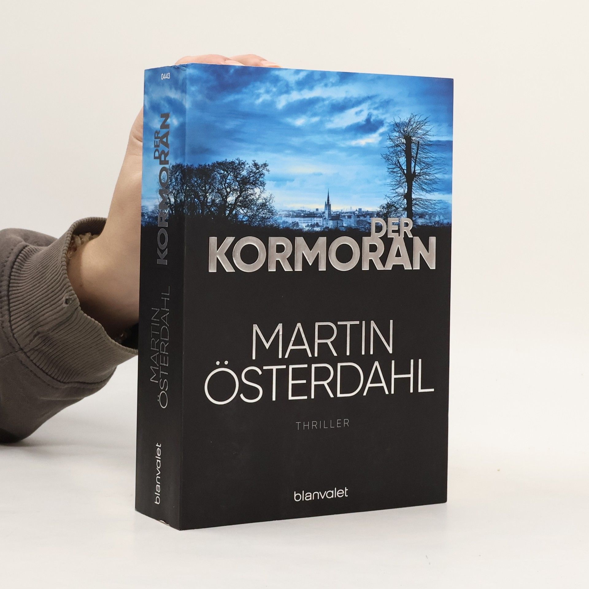 Martin Österdahl Der Kormoran