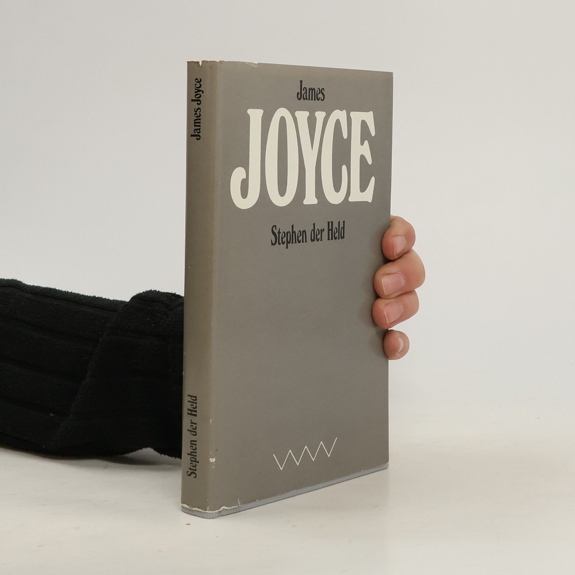 James Joyce Stephen der Held