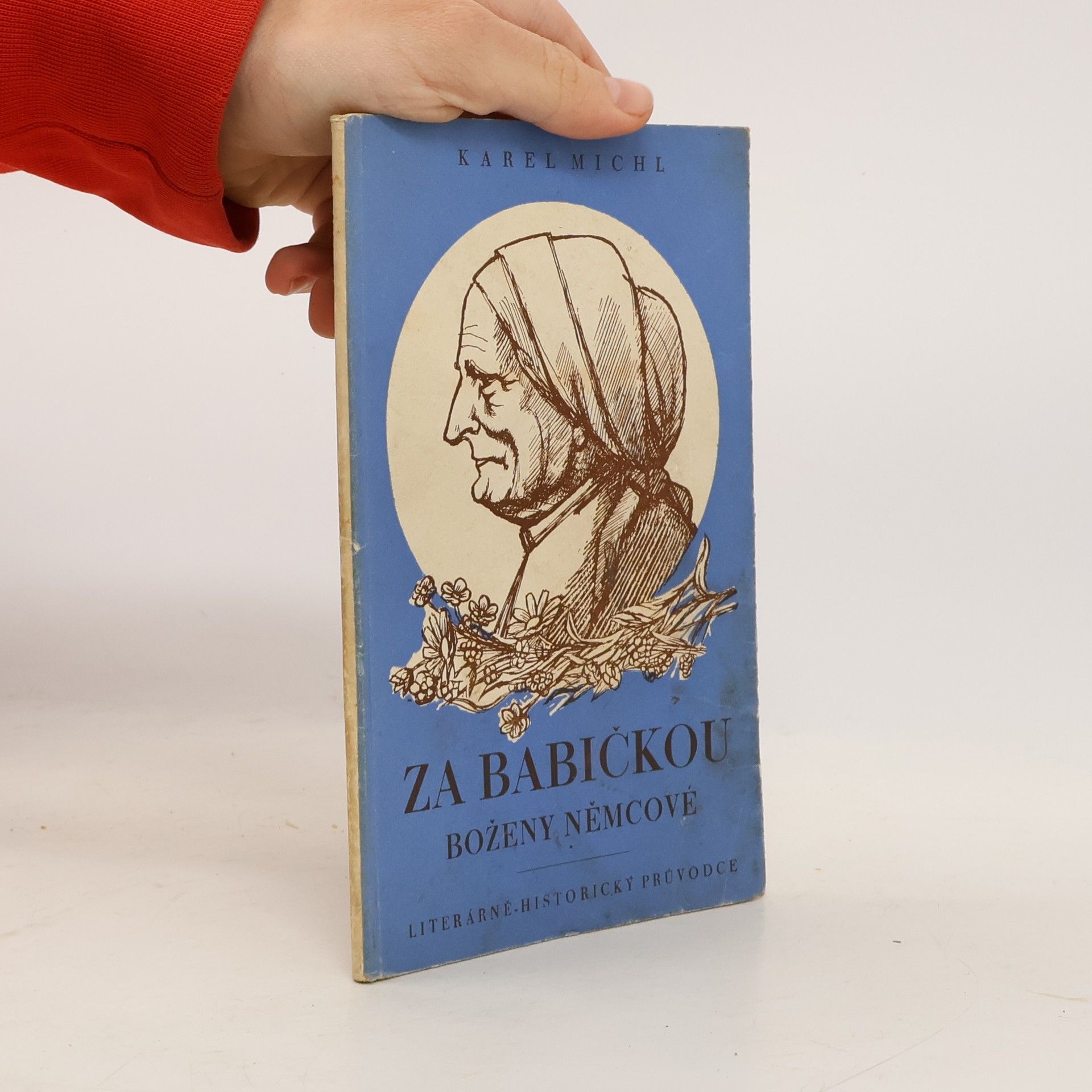 Karel Michal Za babičkou Boženy Němcové