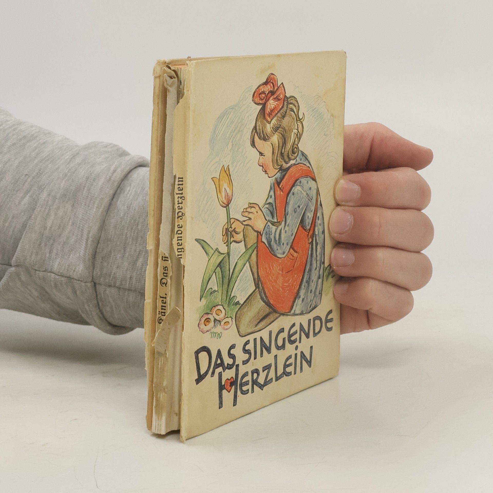 Autorenkollektiv Das singende Herzlein