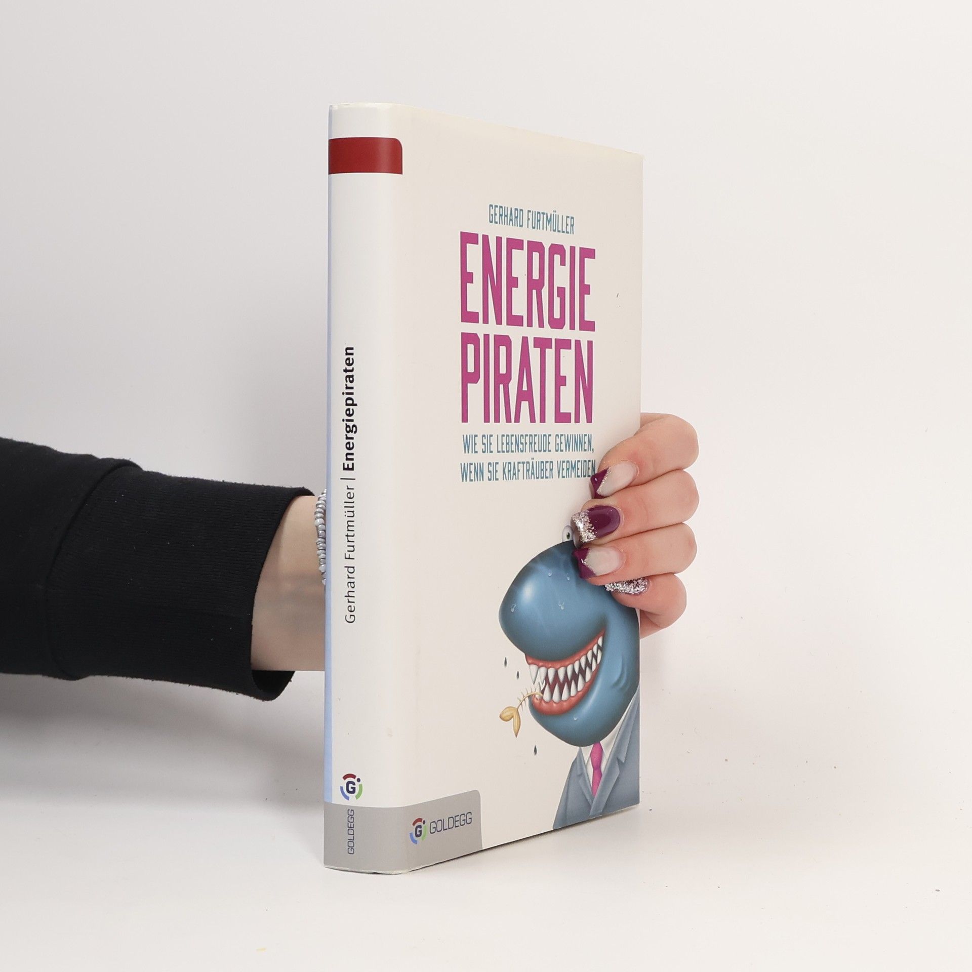 Gerhard J. Furtmüller Energiepiraten