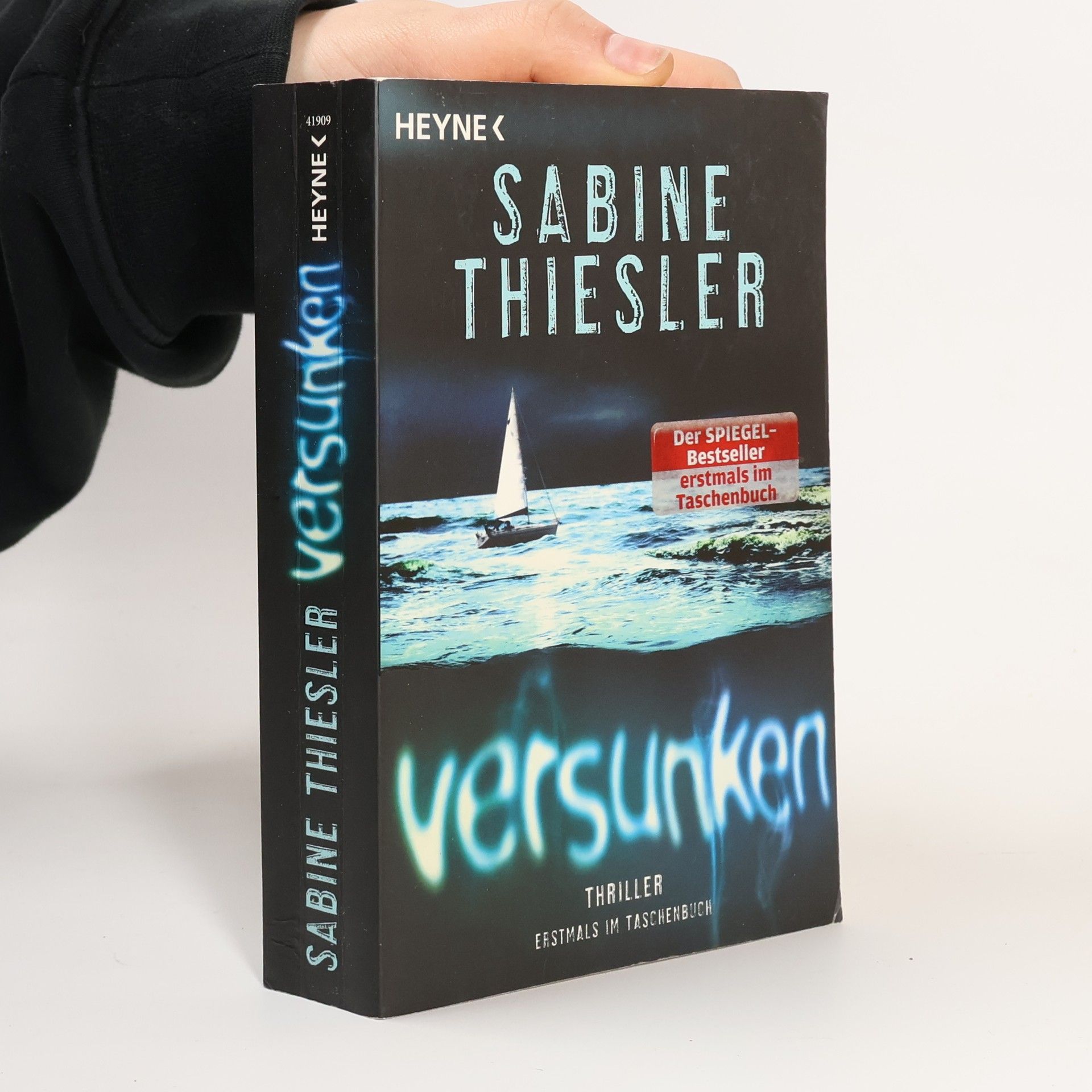Sabine Thiesler Versunken