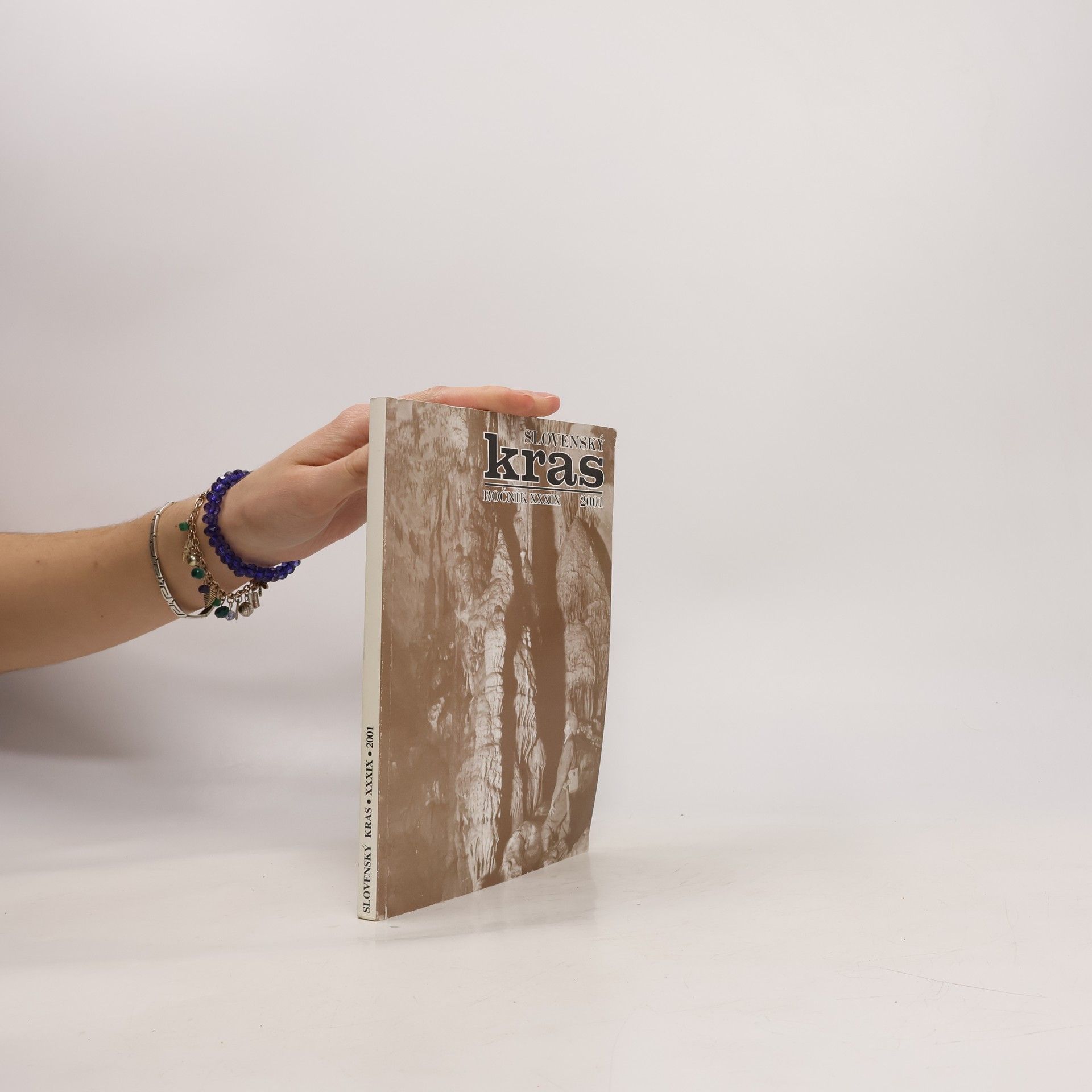 Michal Zacharov Slovenský kras XXXIX 2001