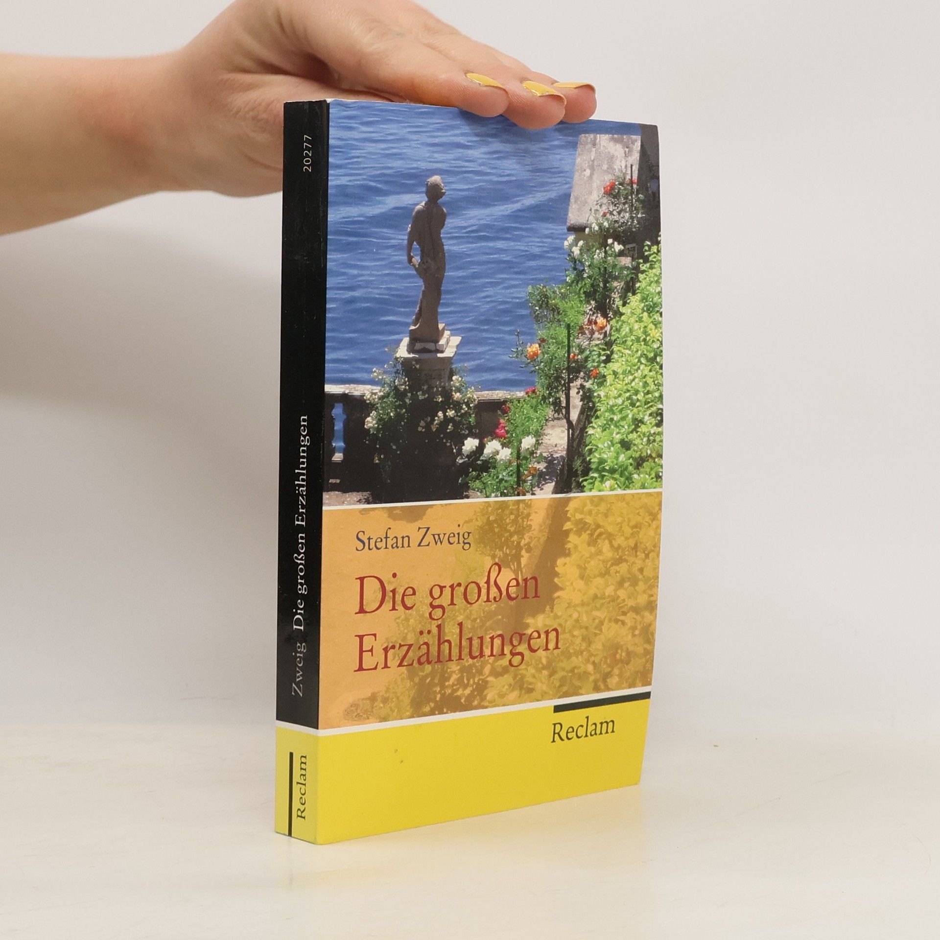 Stefan Zweig Die großen Erzählungen