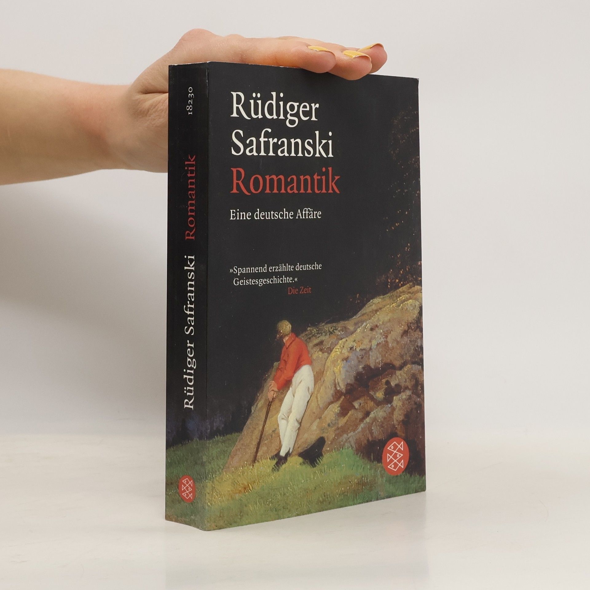 Rüdiger Safranski Romantik