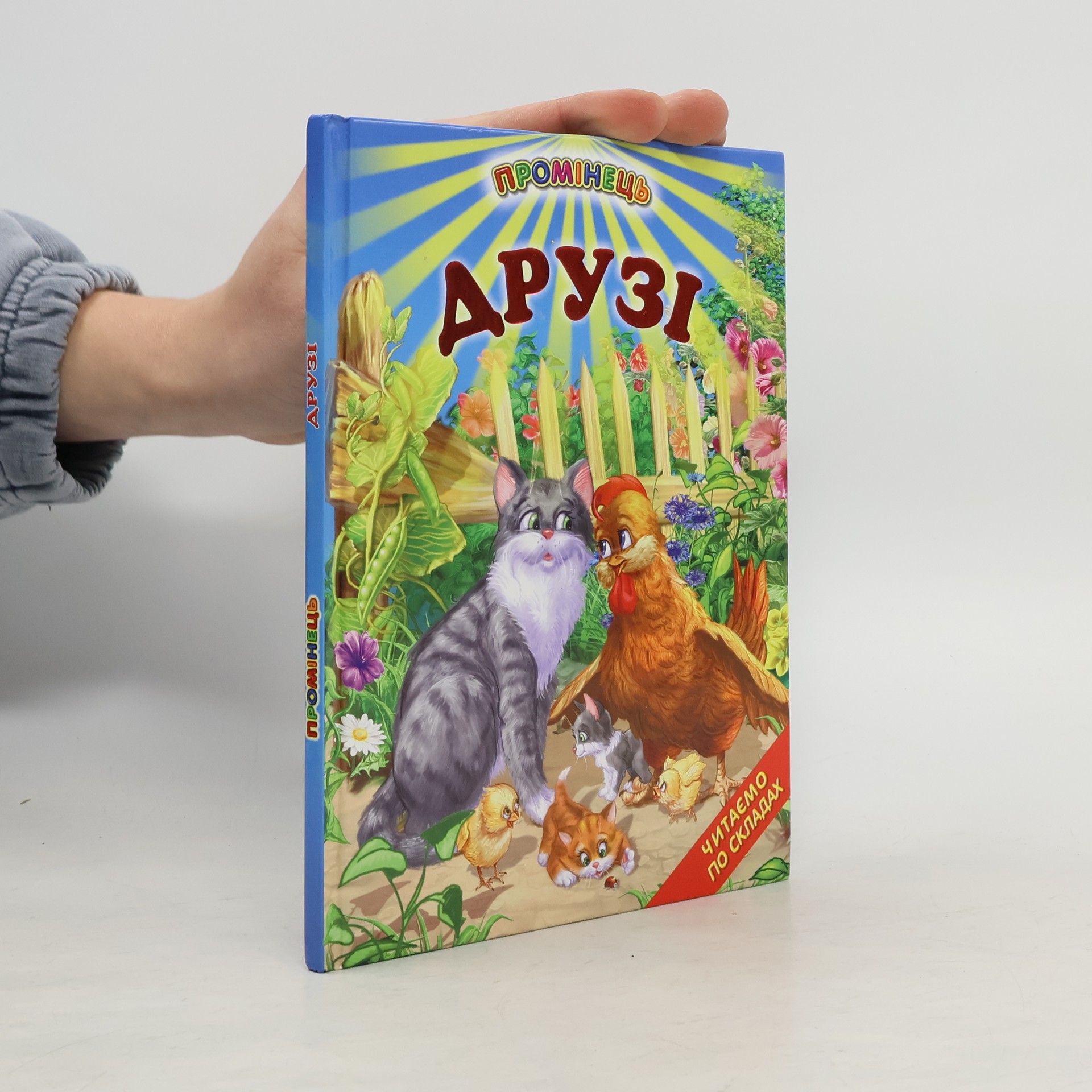 Autorenkollektiv Друзі