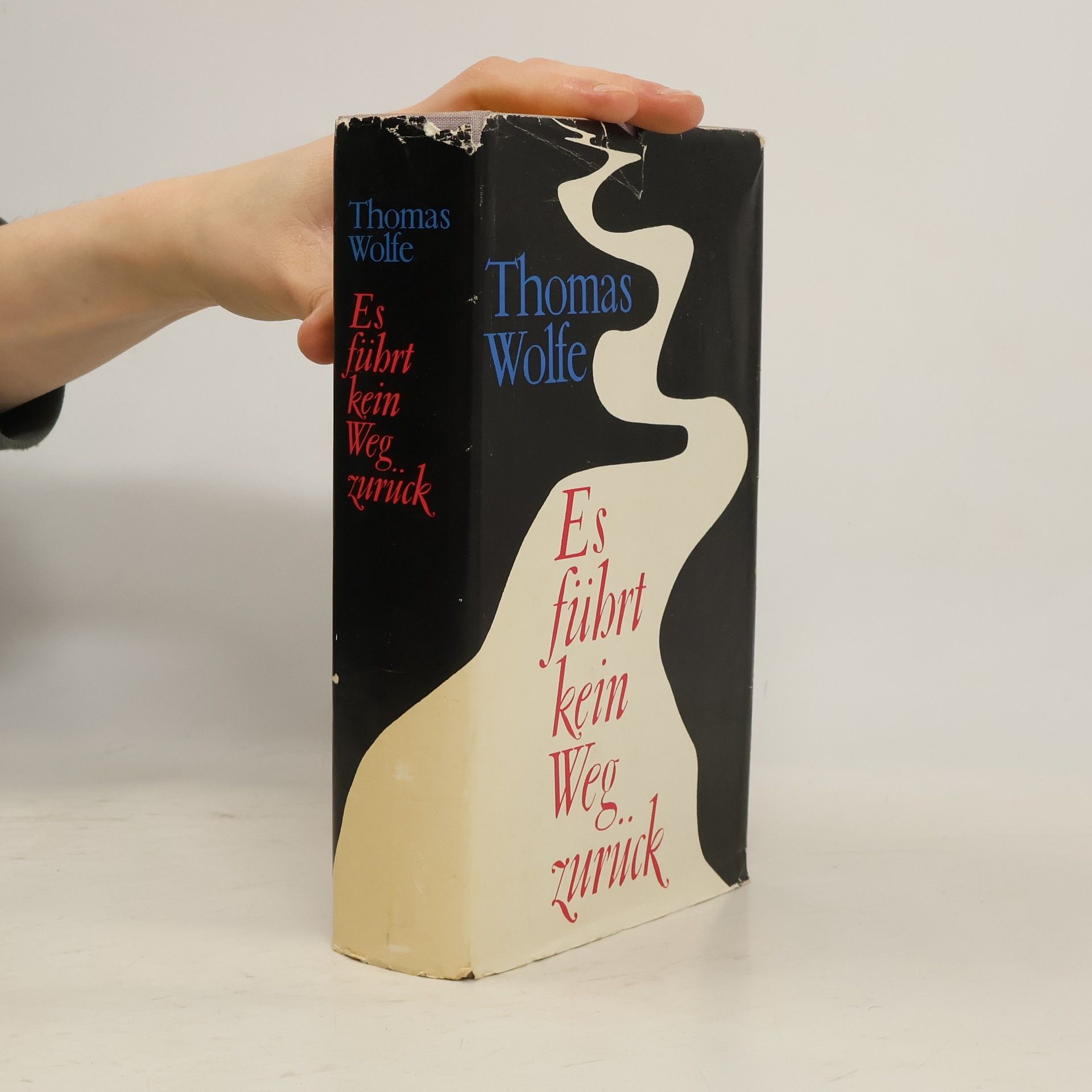 Thomas Wolfe Es führt kein Weg zurück