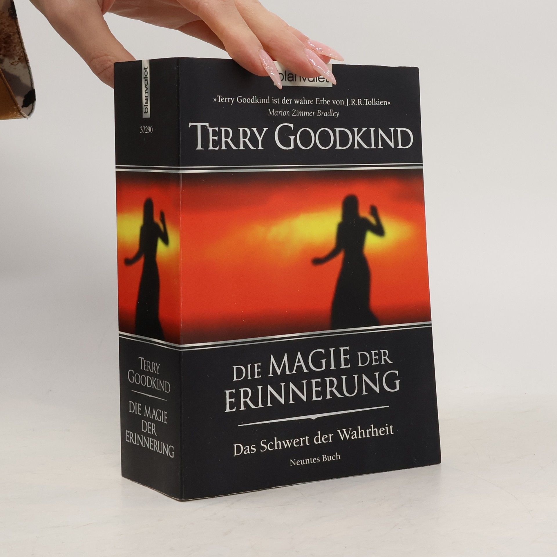 Terry Goodkind Die Magie der Erinnerung