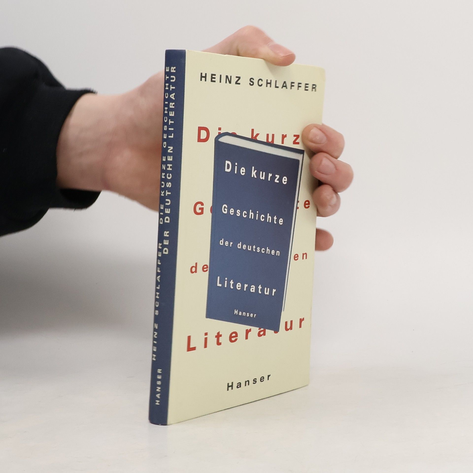 Heinz Schlaffer Die kurze Geschichte der deutschen Literatur