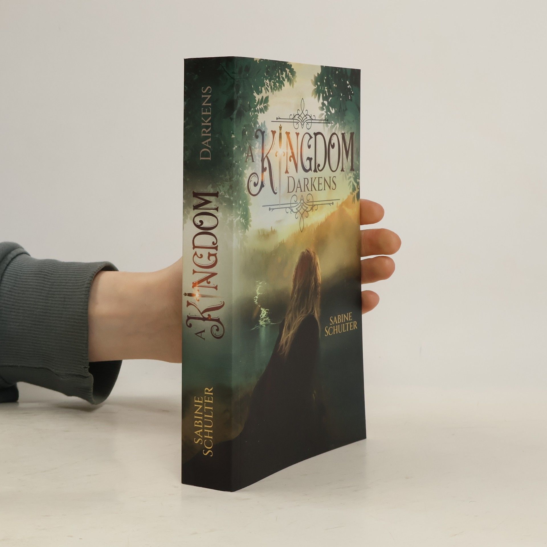 Sabine Schulter A Kingdom Darkens (Kampf um Mederia 1)