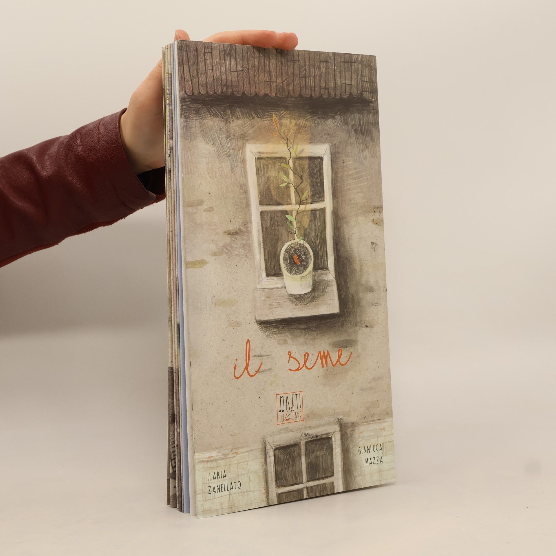 Ilaria Zanellato Il seme. Ediz. a colori