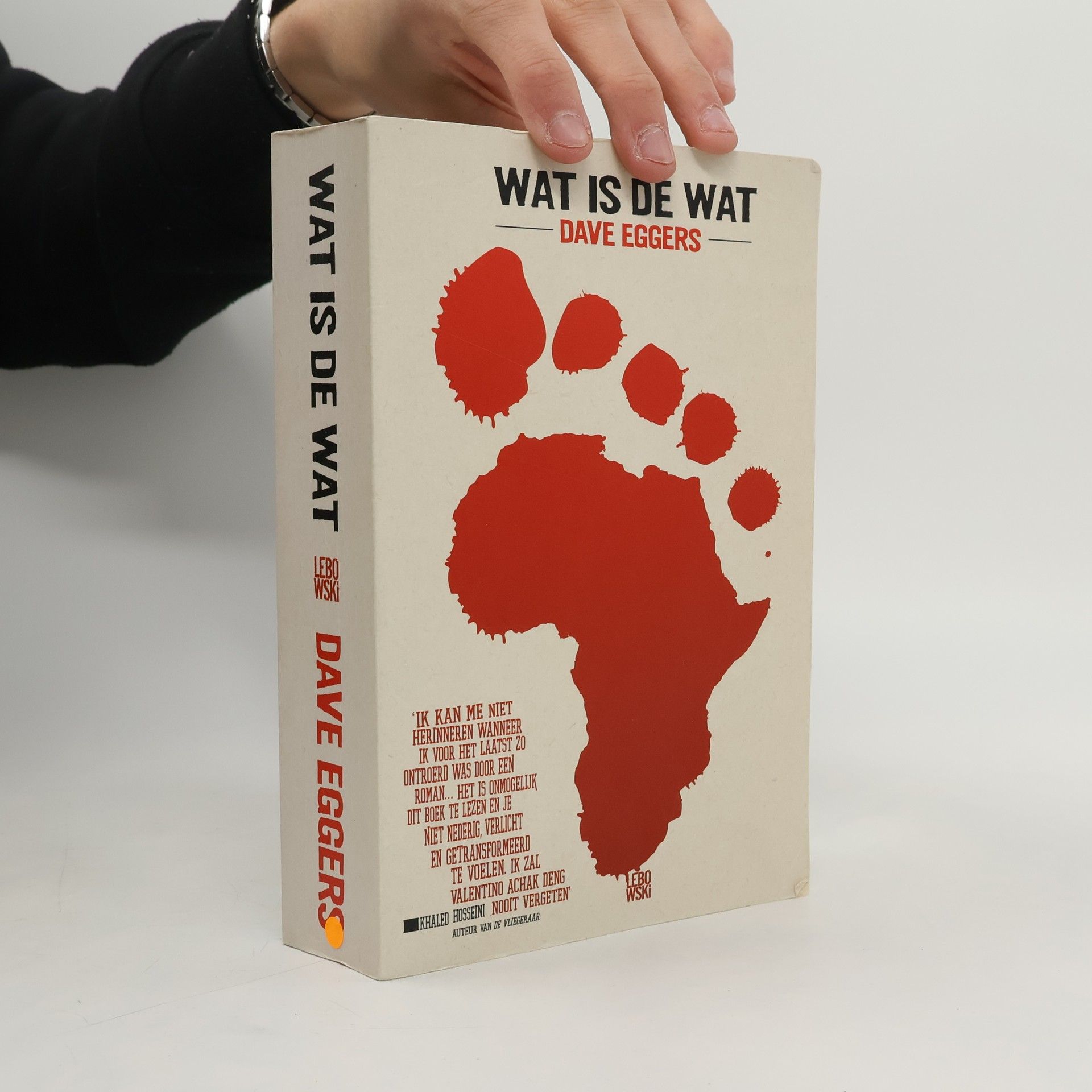 Dave Eggers Wat is de wat