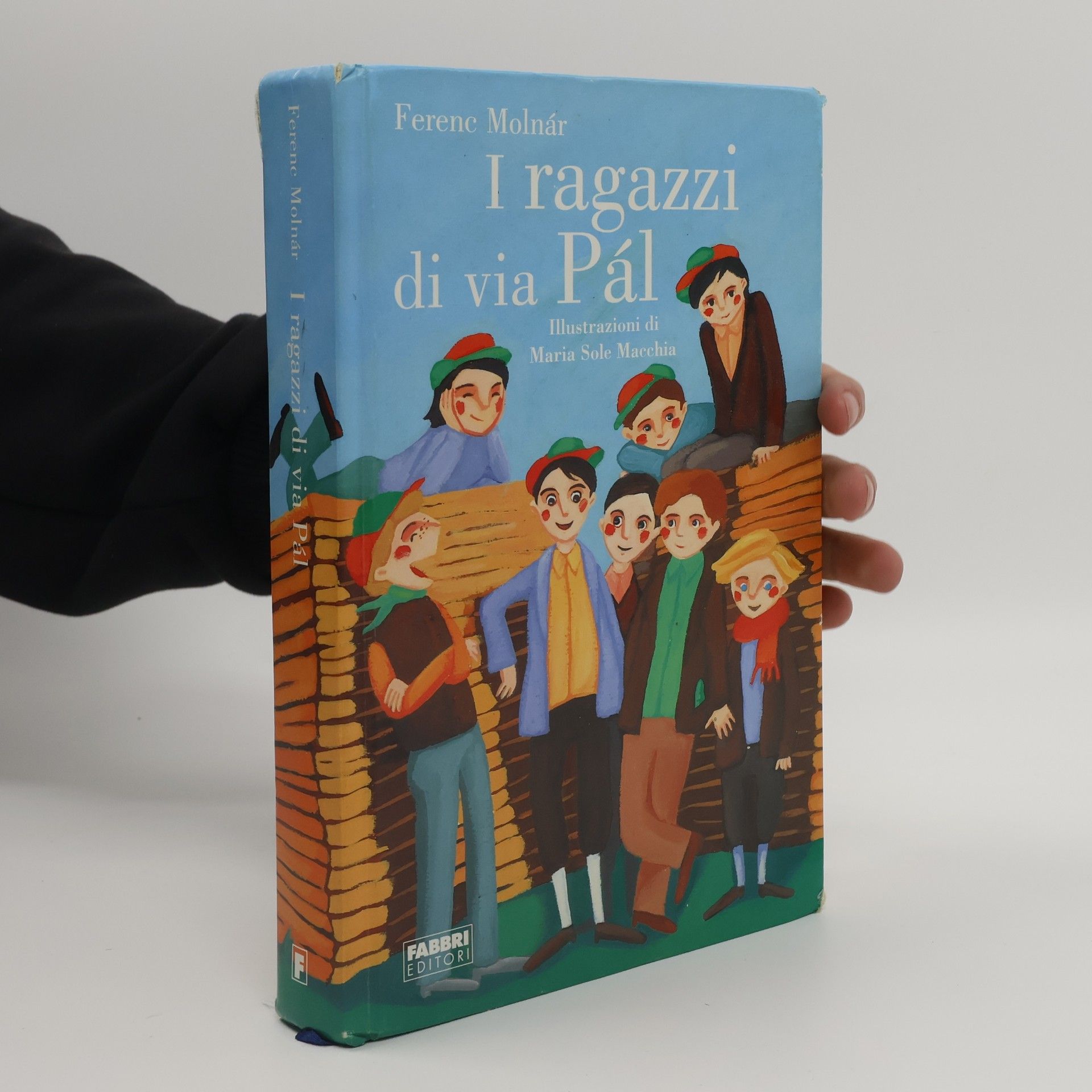 Classici illustrati: I ragazzi di via Pál
