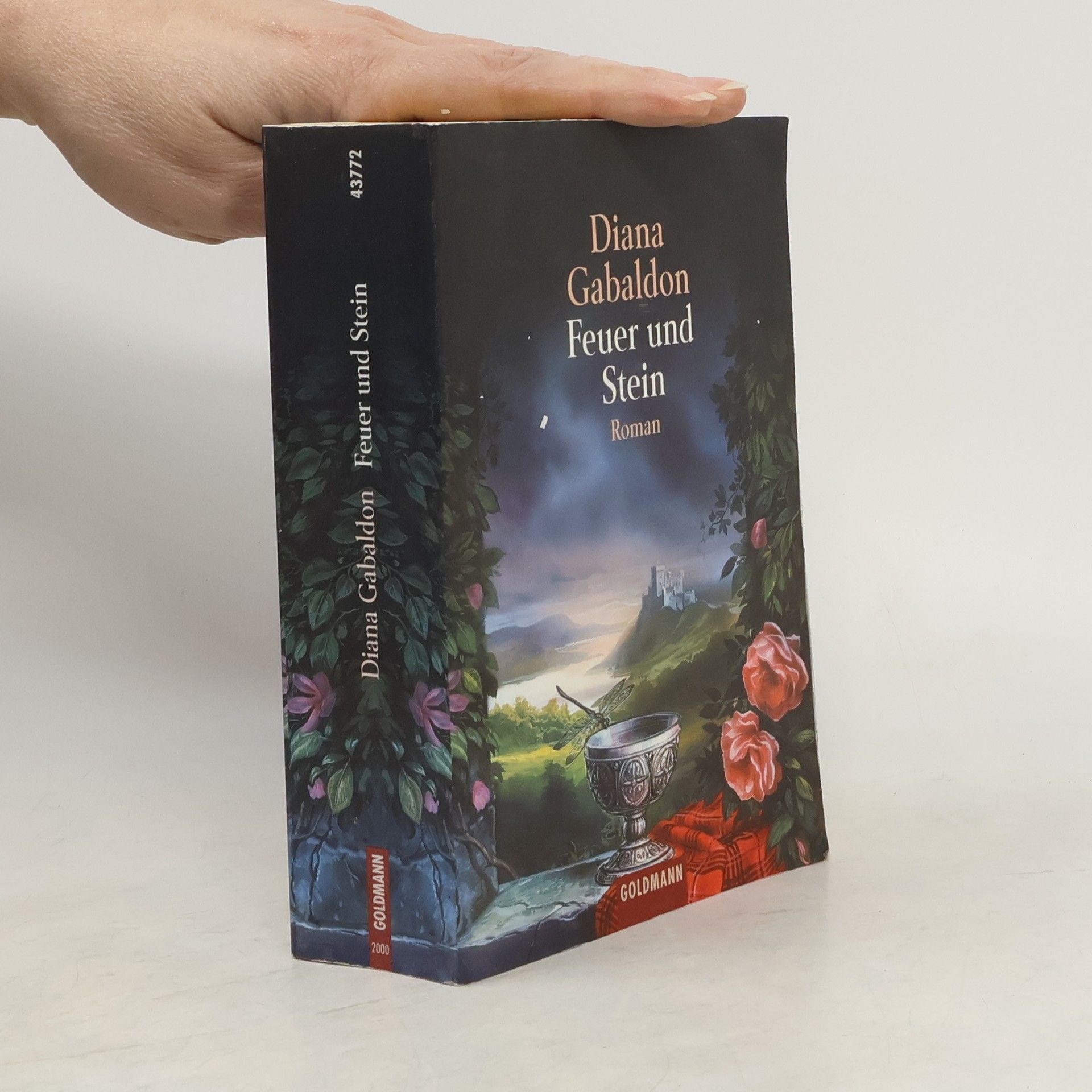 Diana Gabaldon Feuer und Stein
