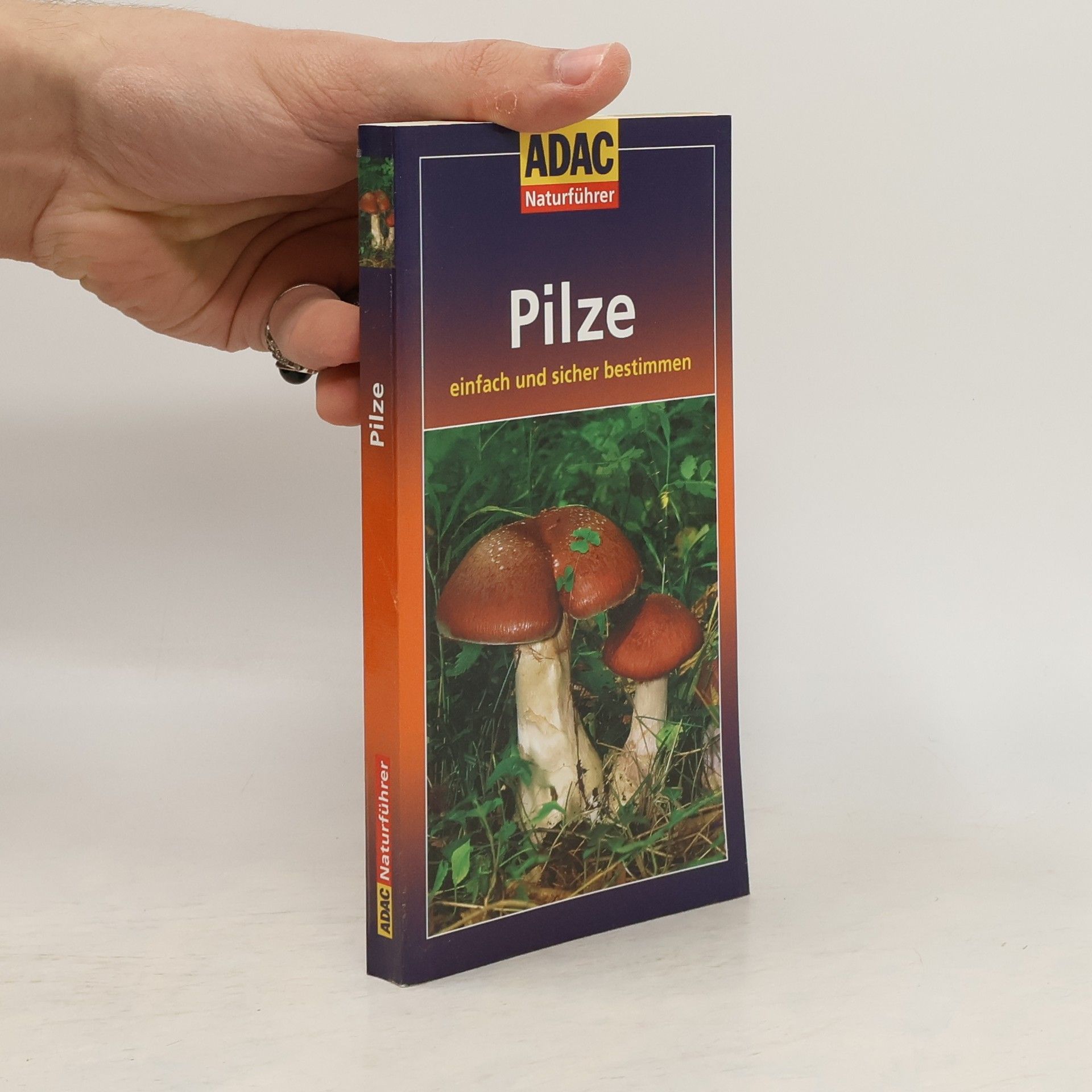 Autorenkollektiv Pilze