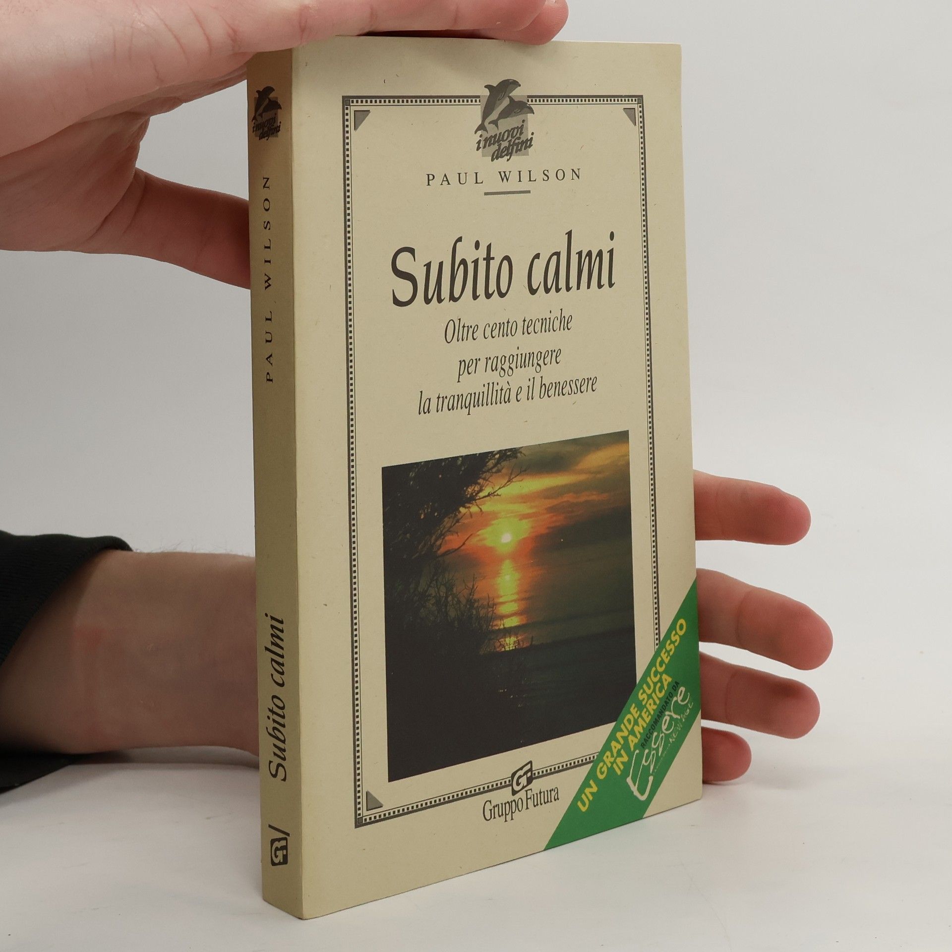 Paul Wilson Subito calmi. Oltre cento tecniche per raggiungere la tranquillità e il benessere