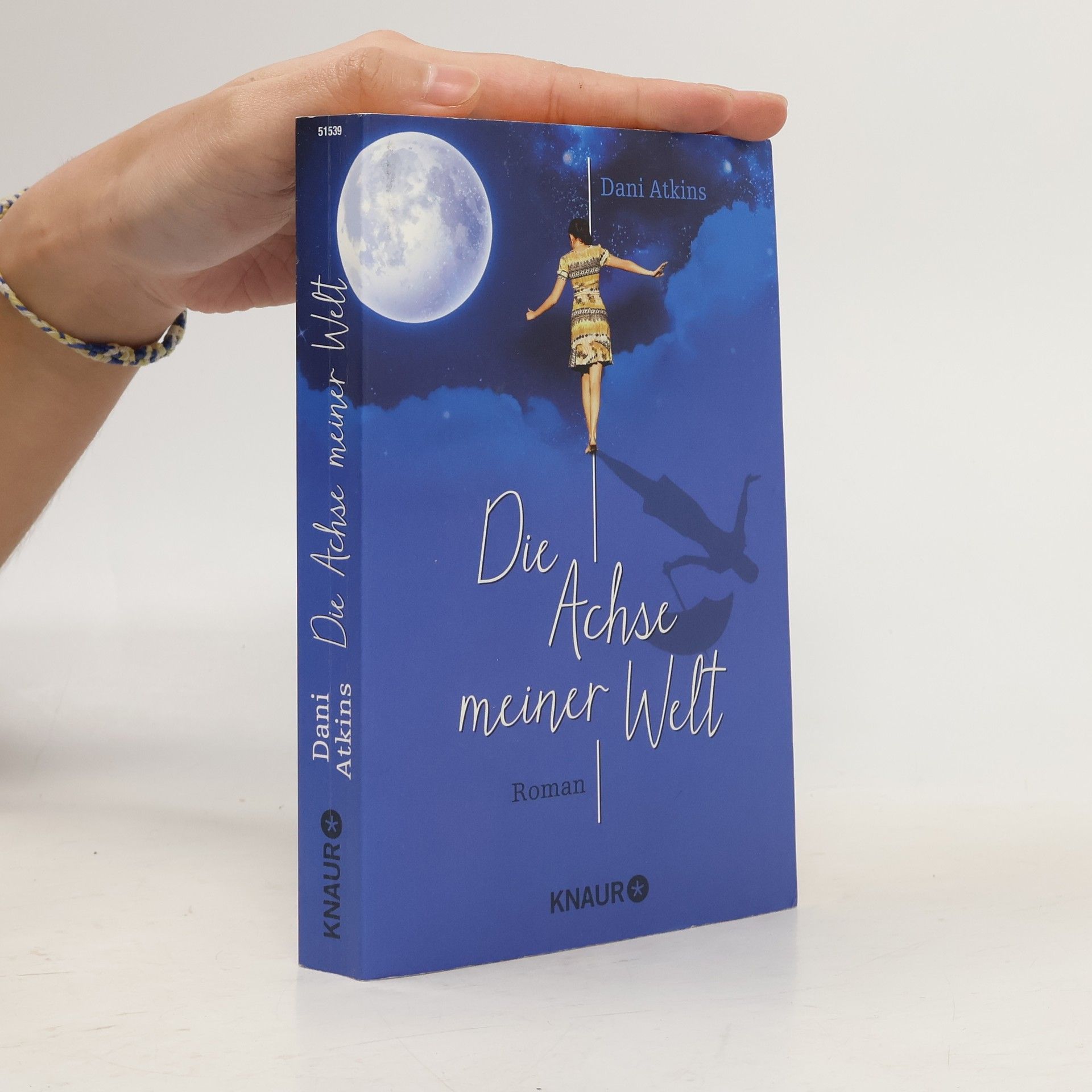 Dani Atkins Die Achse meiner Welt