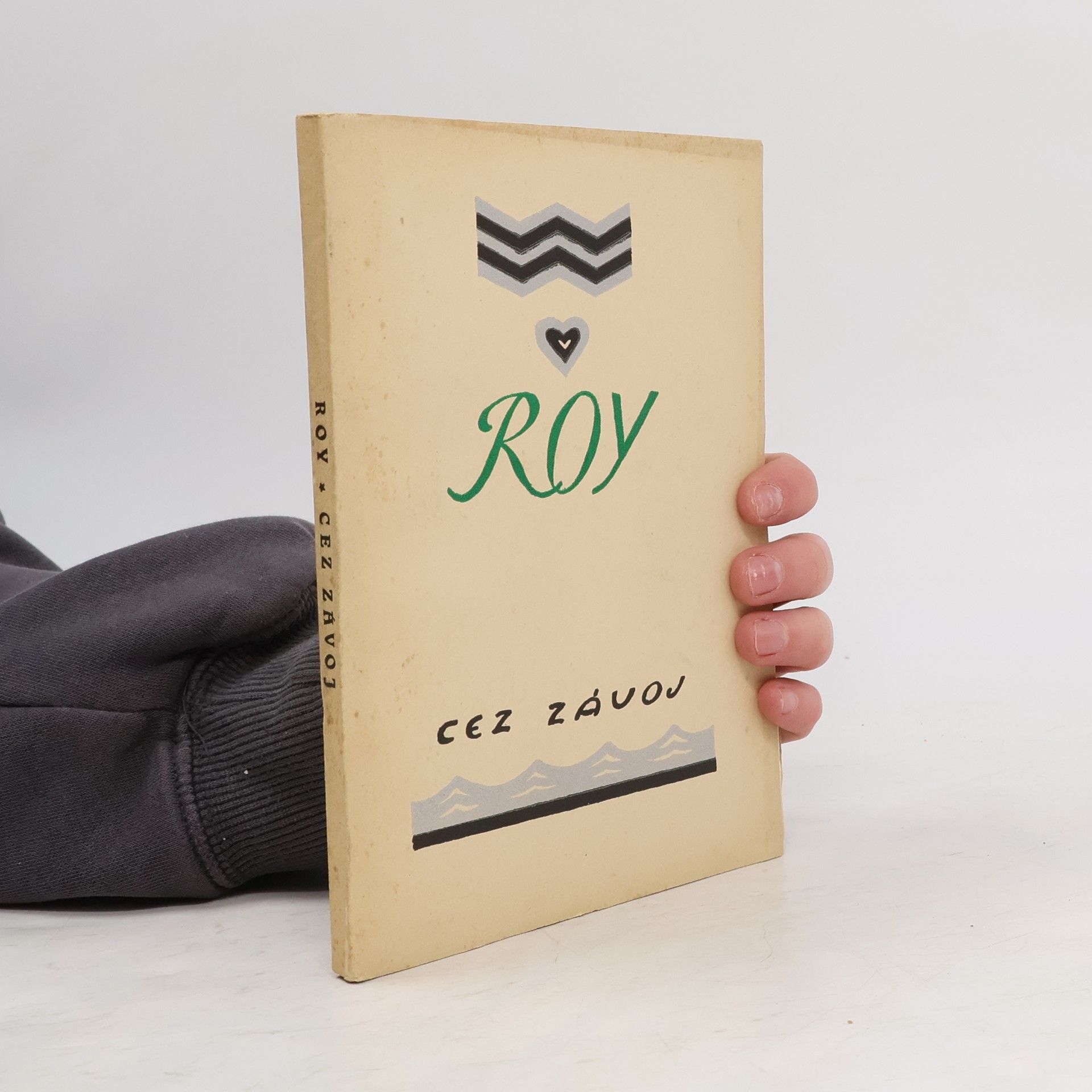 Vladimír Roy Cez závoj