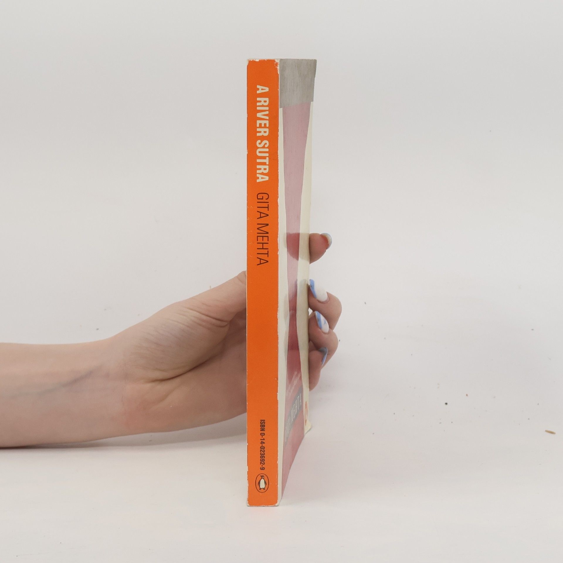 Gita Mehta A River Sutra