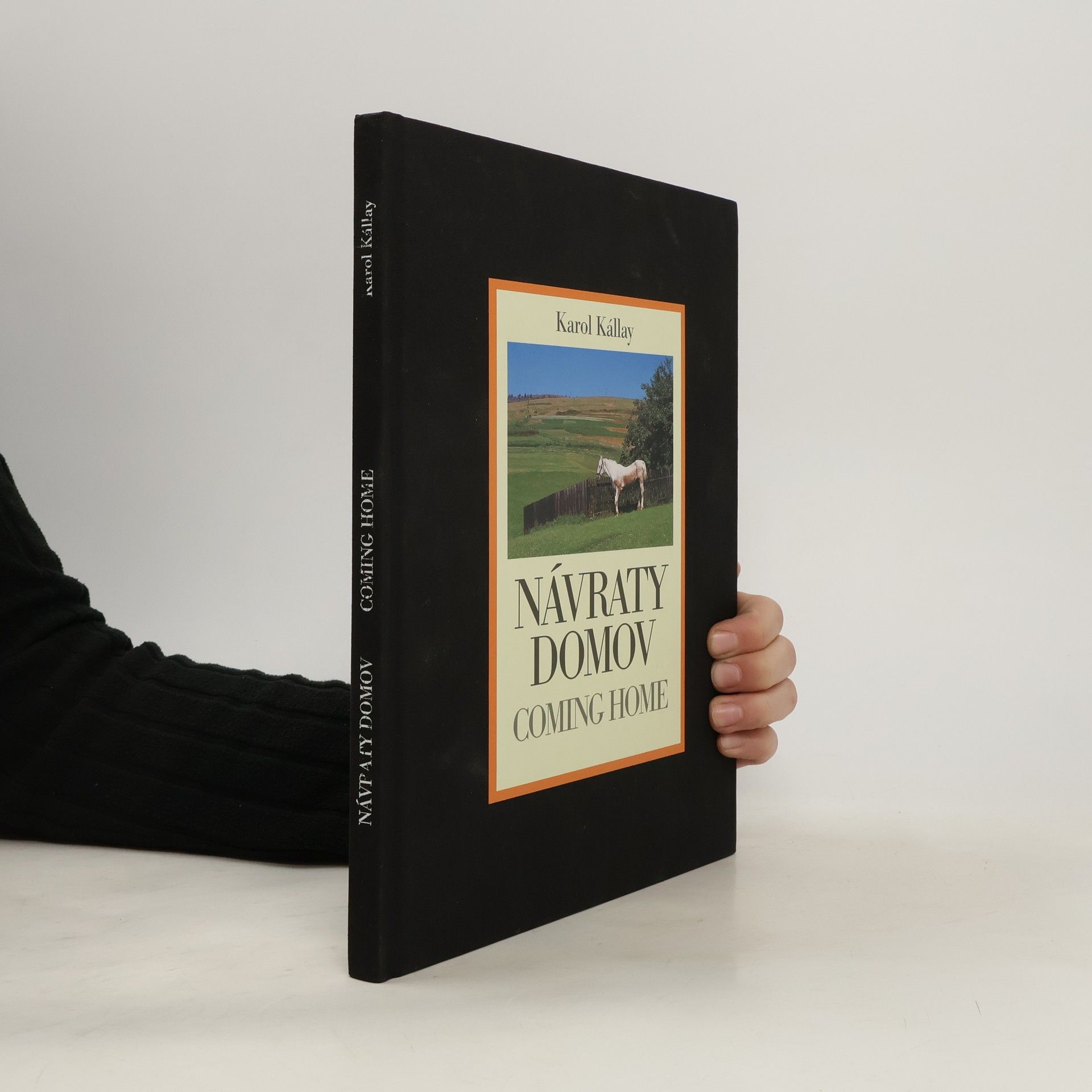Karol Kállay Návraty domov. Coming home