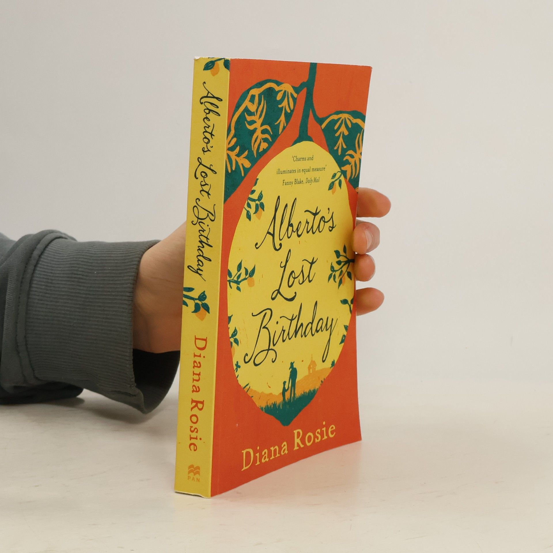 Diana Rosie Alberto's Lost Birthday