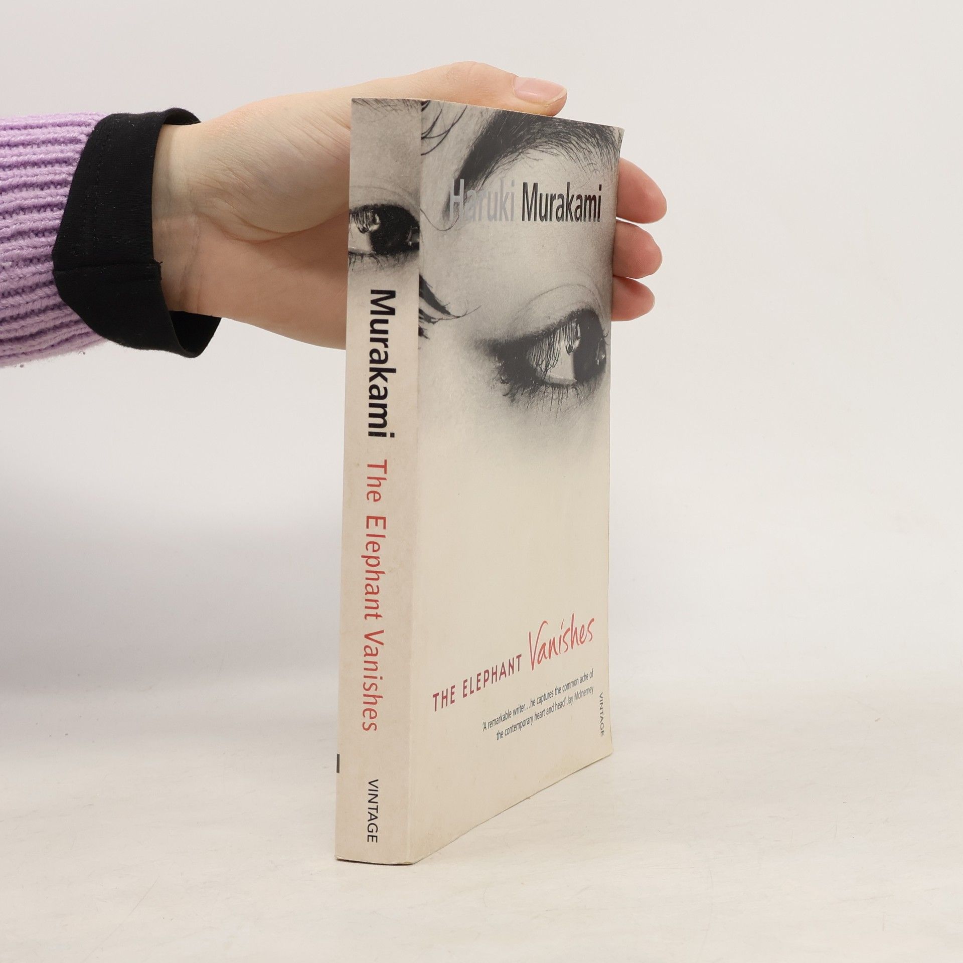 The Elephant Vanishes