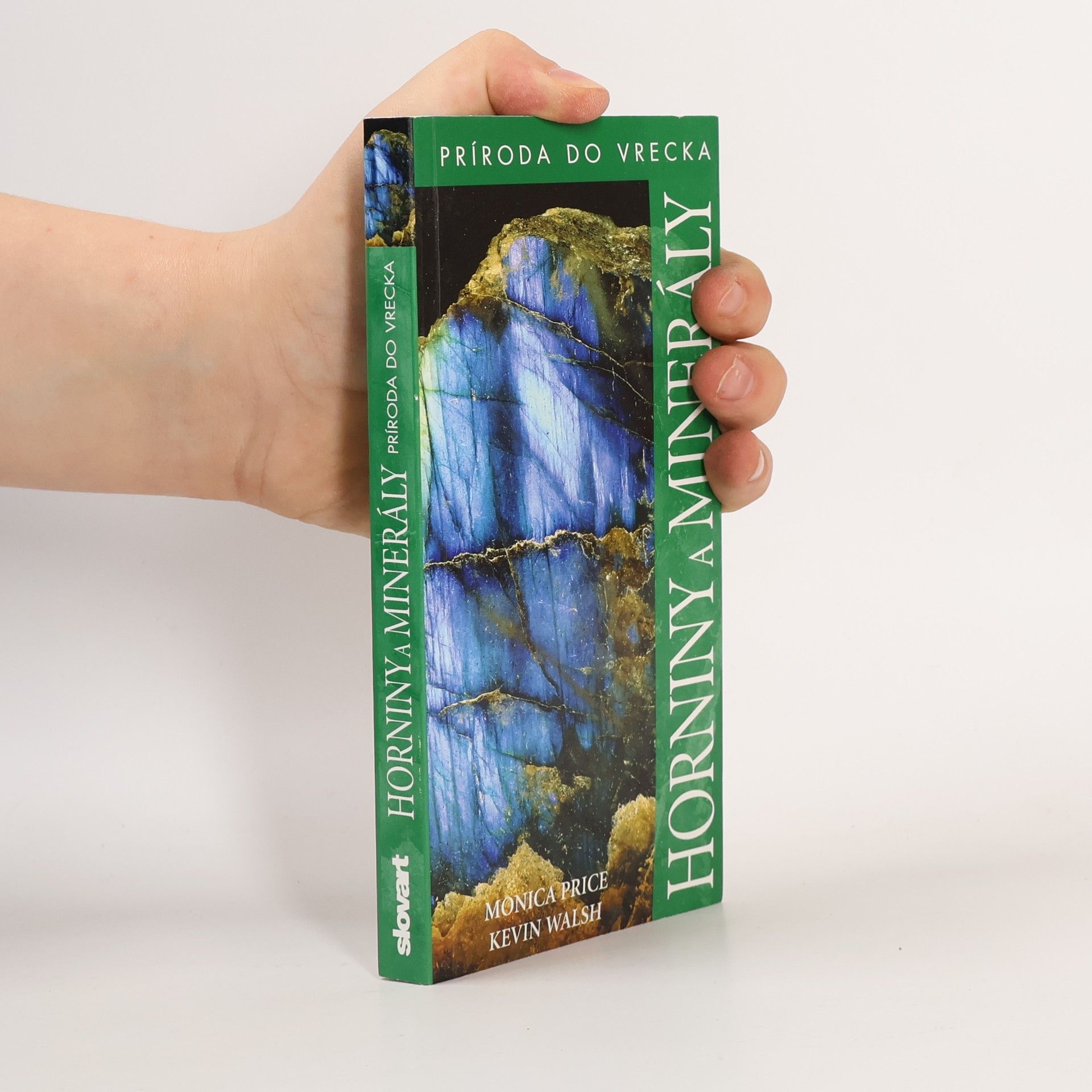 Kevin Walsh Horniny a minerály