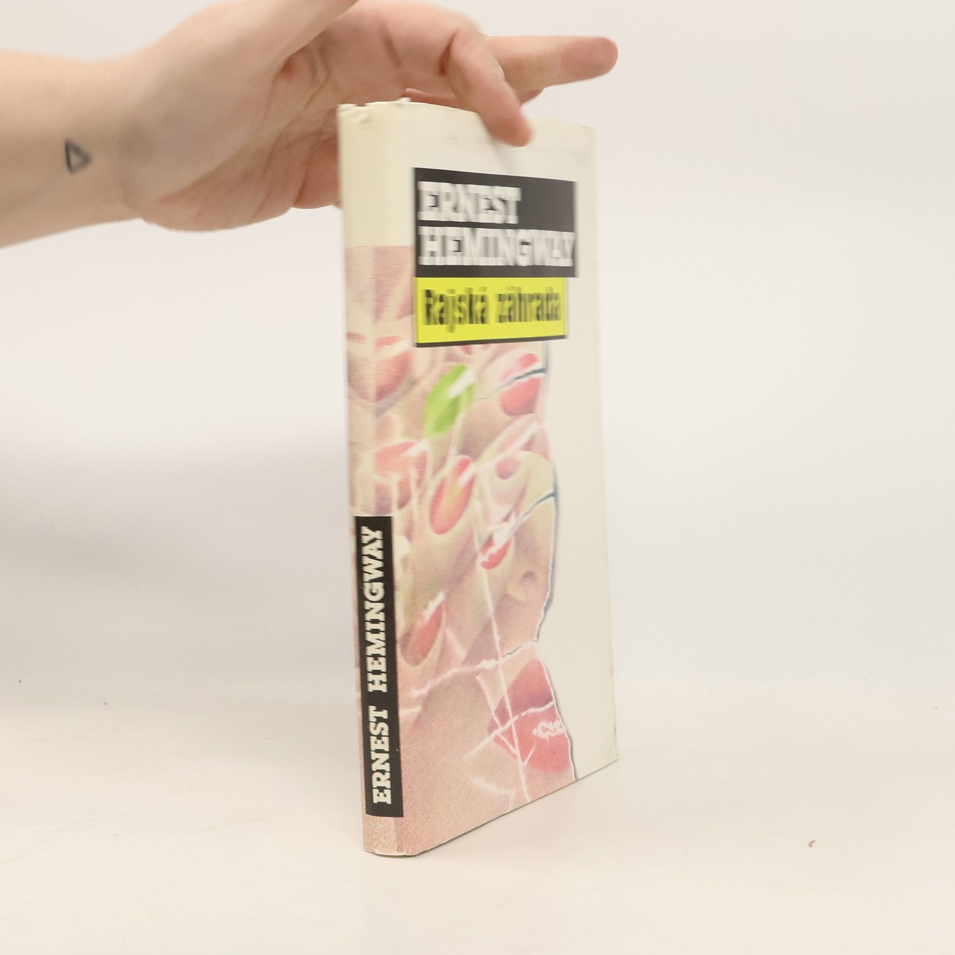 Ernest Hemingway Rajská záhrada