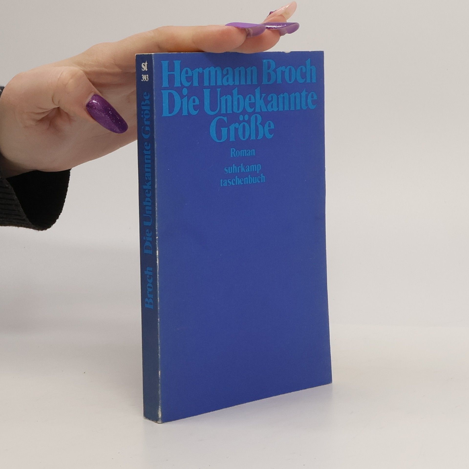 Hermann Broch Die unbekannte Grösse