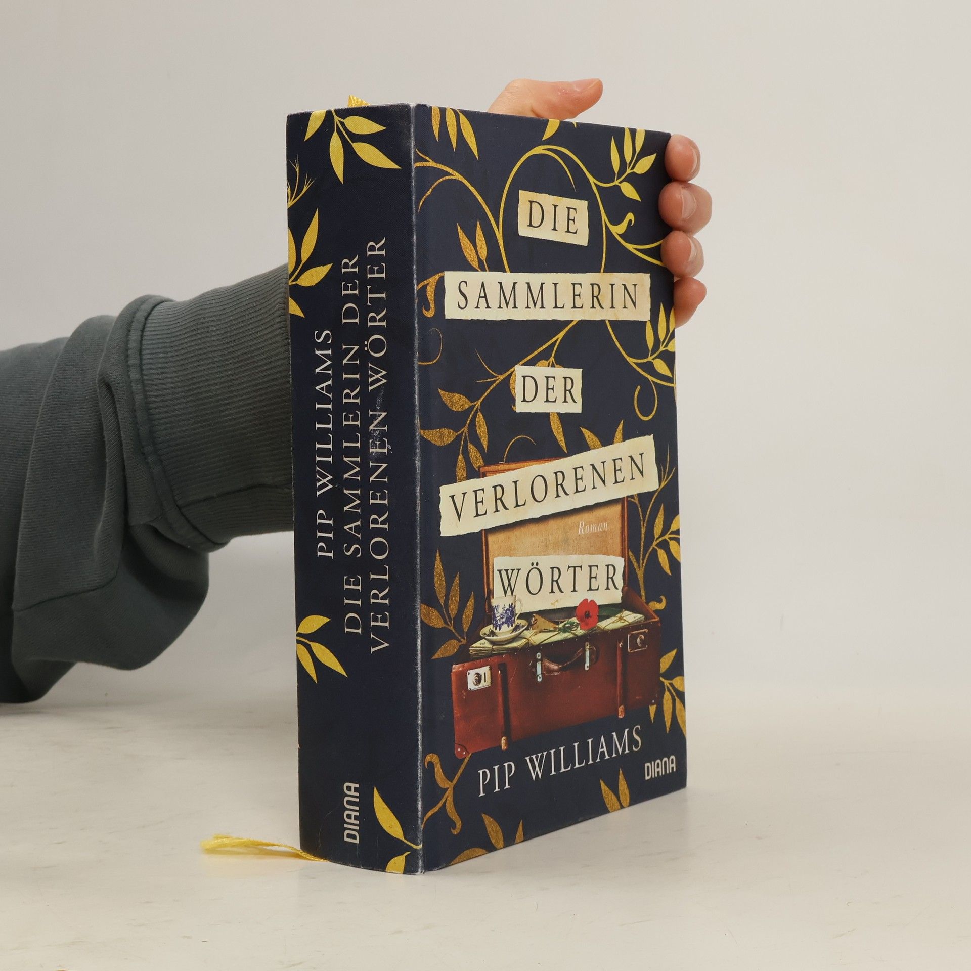 Pip Williams Die Sammlerin Der Verlorenen Wörter
