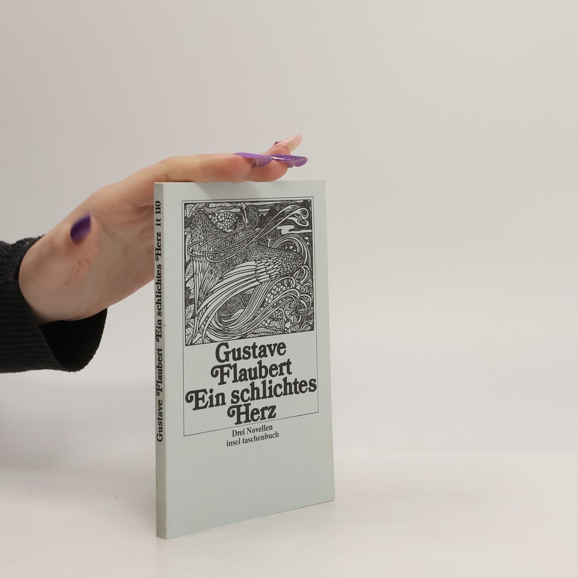 Gustave Flaubert Ein schlichtes Herz