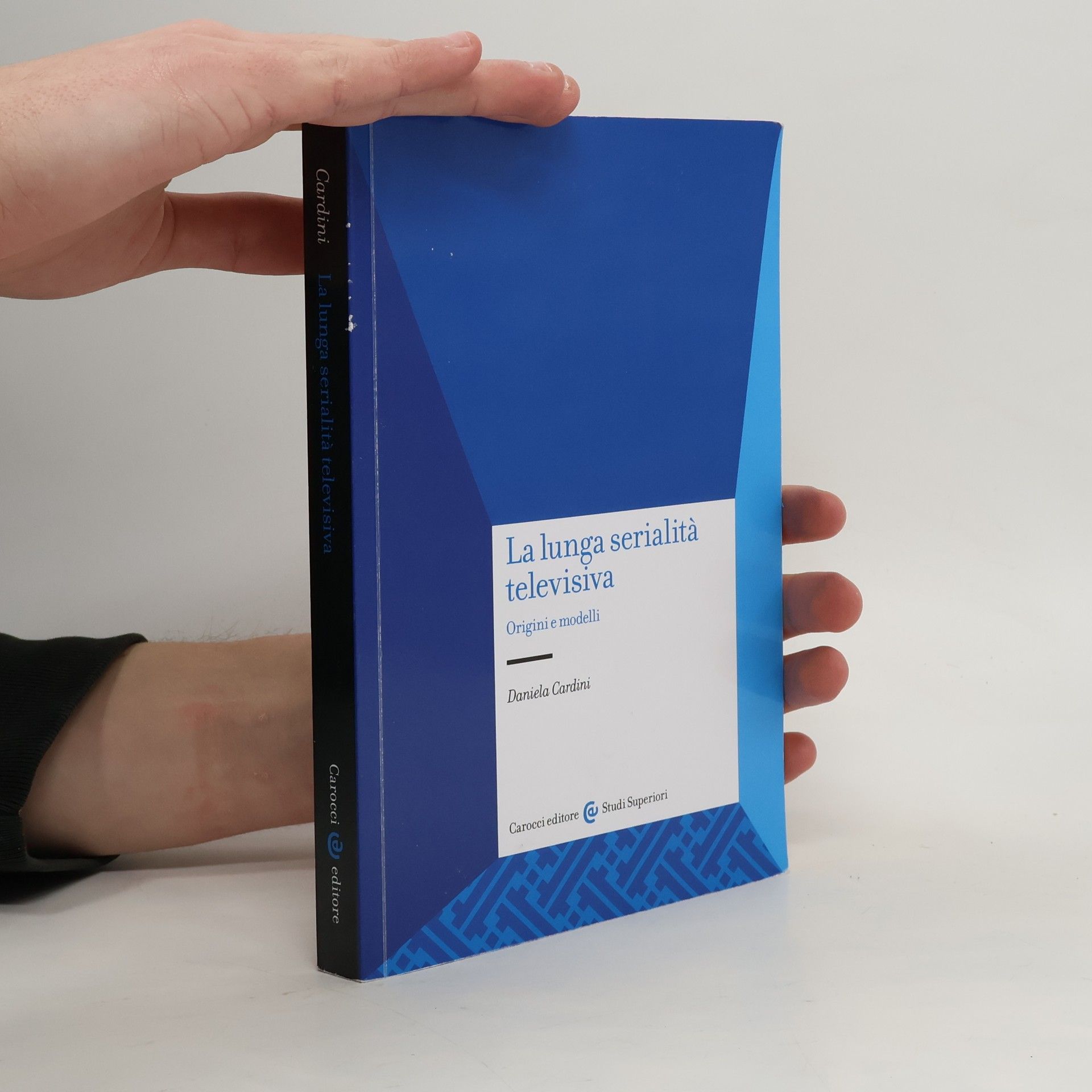 Daniela Cardini Studi Superiori: La lunga serialità televisiva