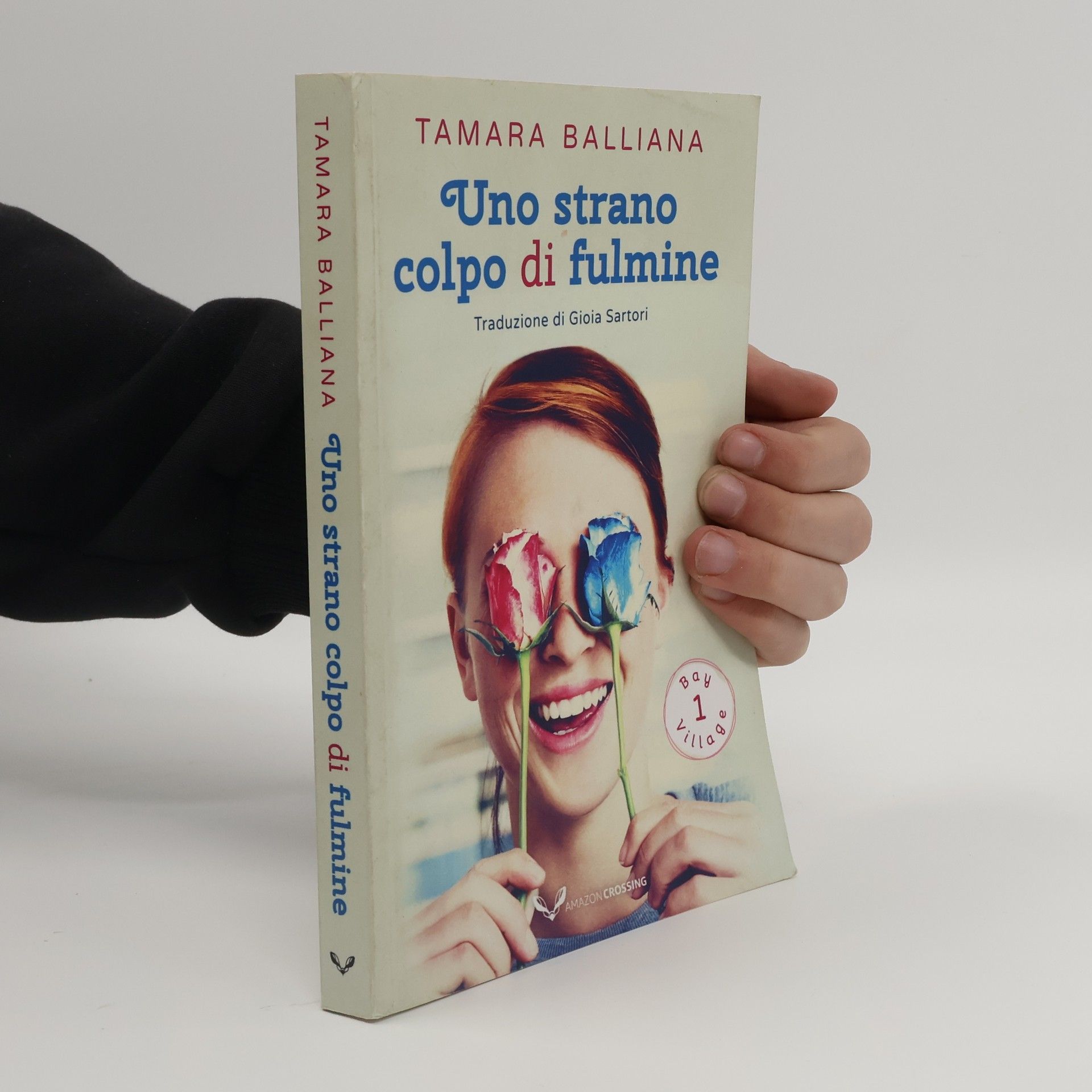 Tamara Balliana Bay Village - 1: Uno strano colpo di fulmine