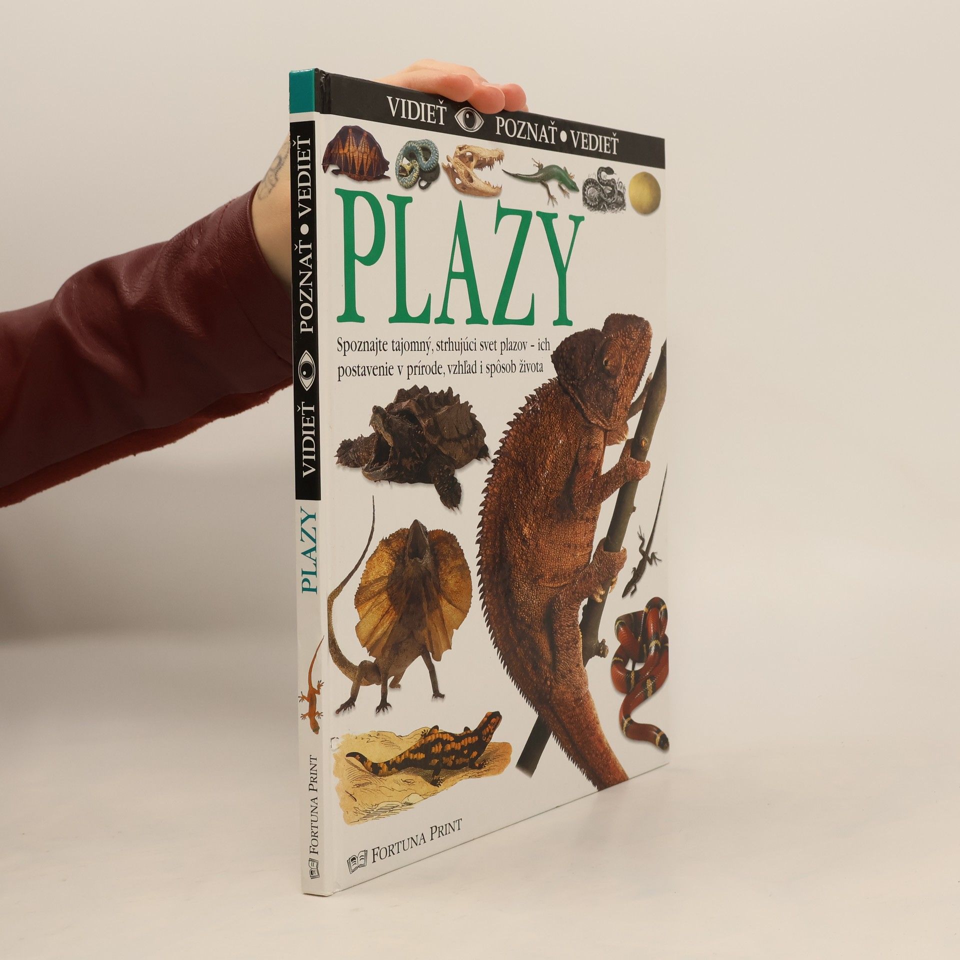 Autores varios Plazy