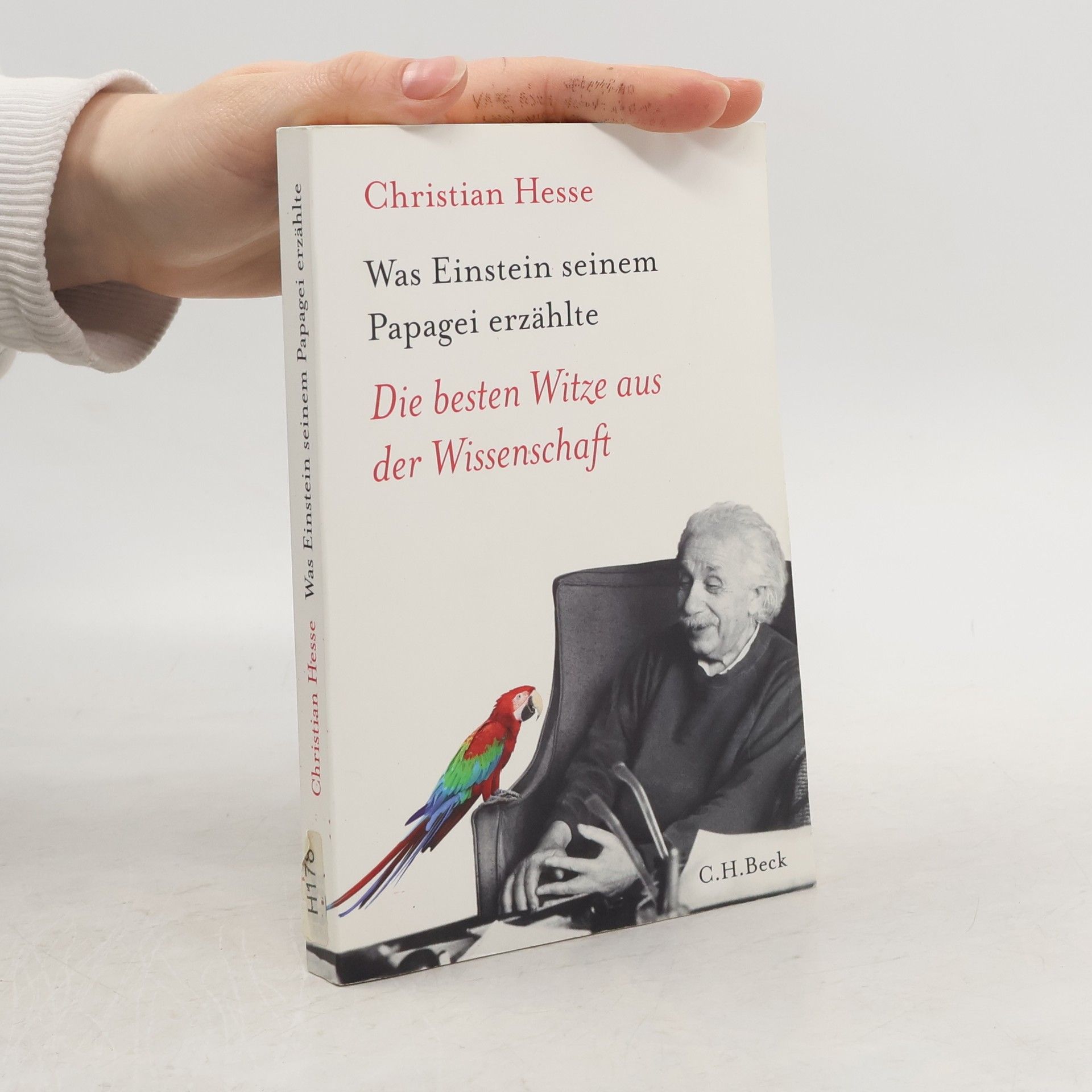 Christian Hesse Was Einstein seinem Papagei erzählte