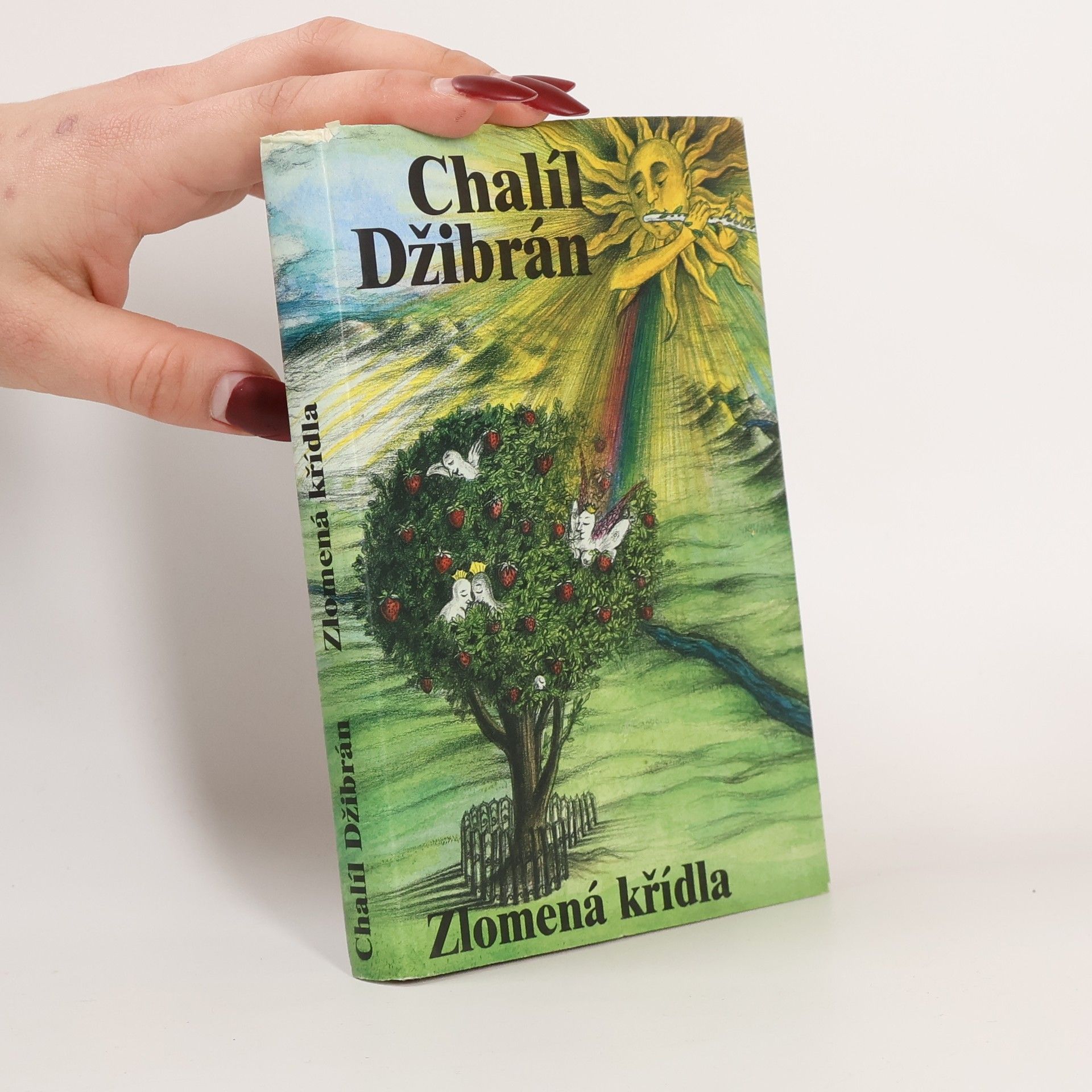 Kahlil Gibran Zlomená křídla